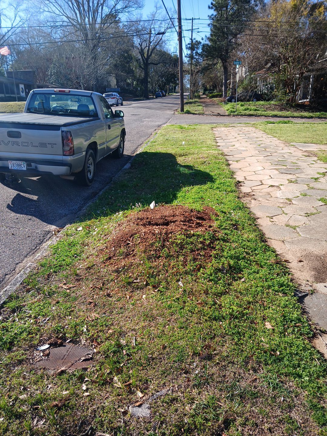 Enhancing Public Spaces: Municipal Landscaping Project by BTops Landscaping Inc.