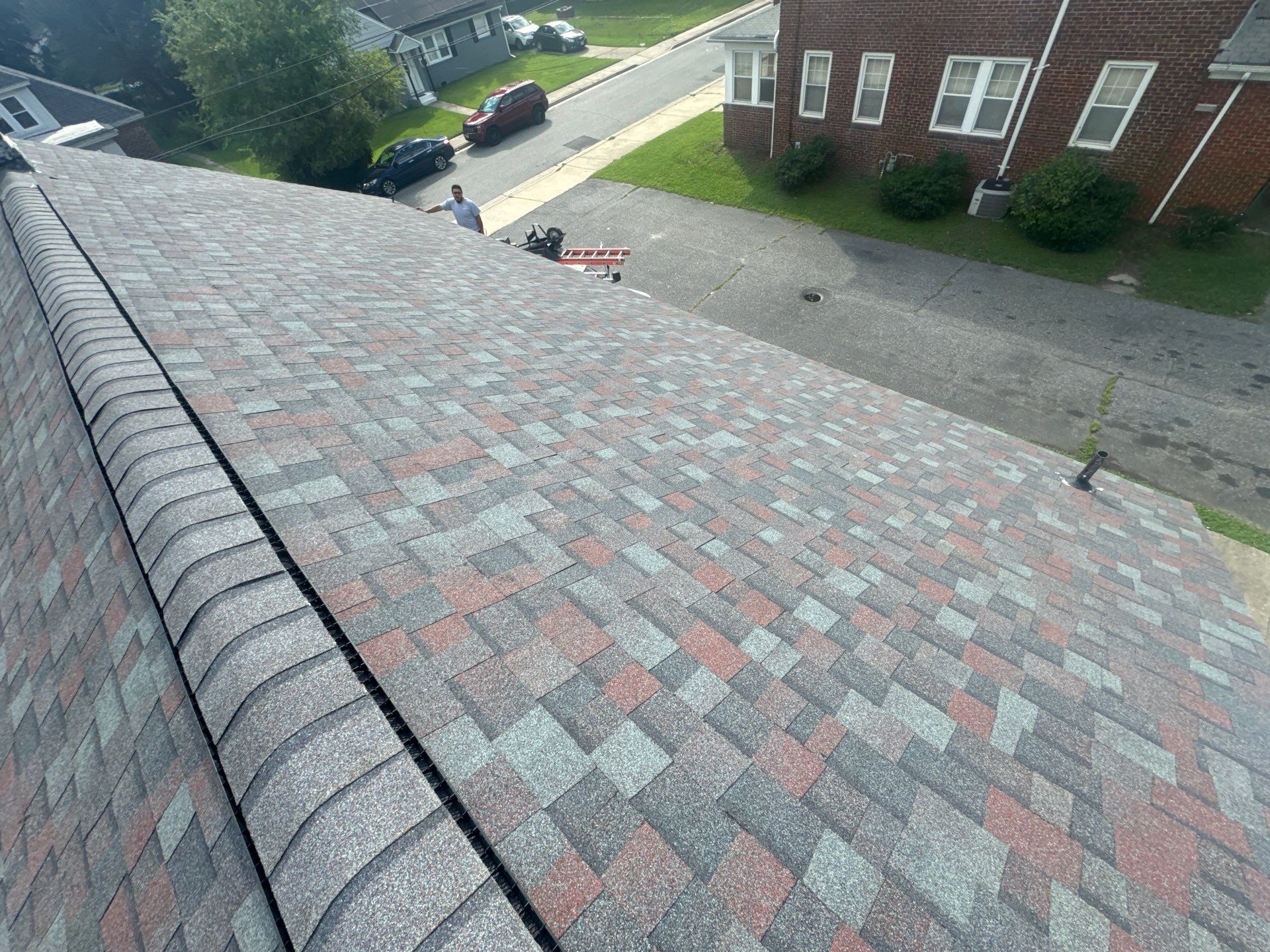 Tamko Shingles by Reimagine Roofing