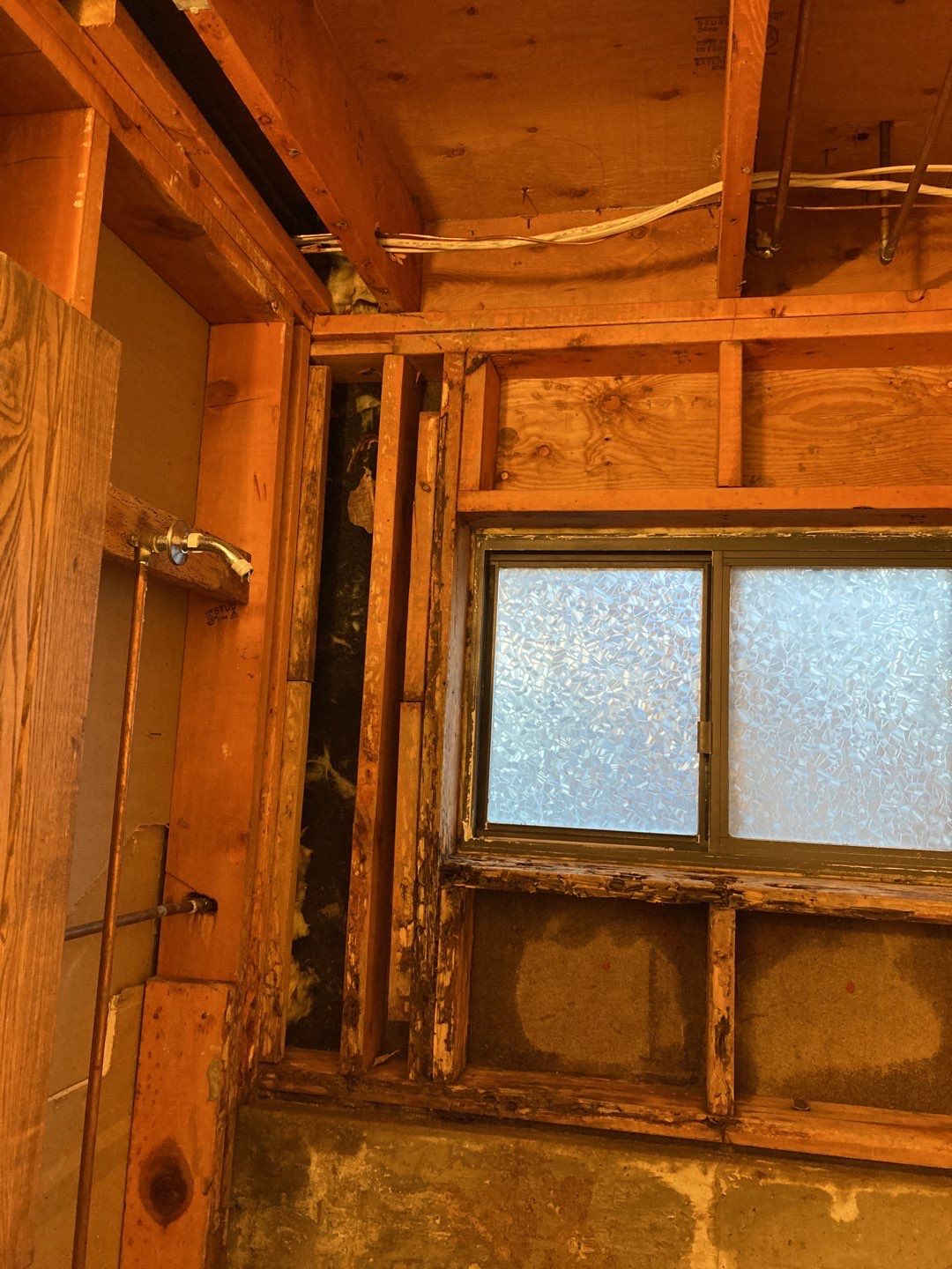 Mold Remediation in Bathroom by Accountable Home Services