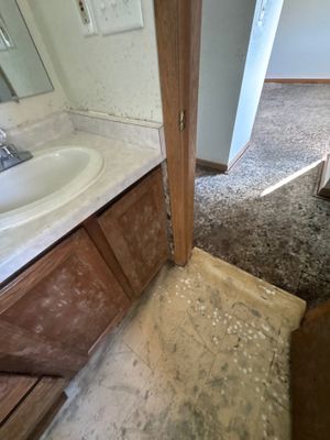 Project in Richmond