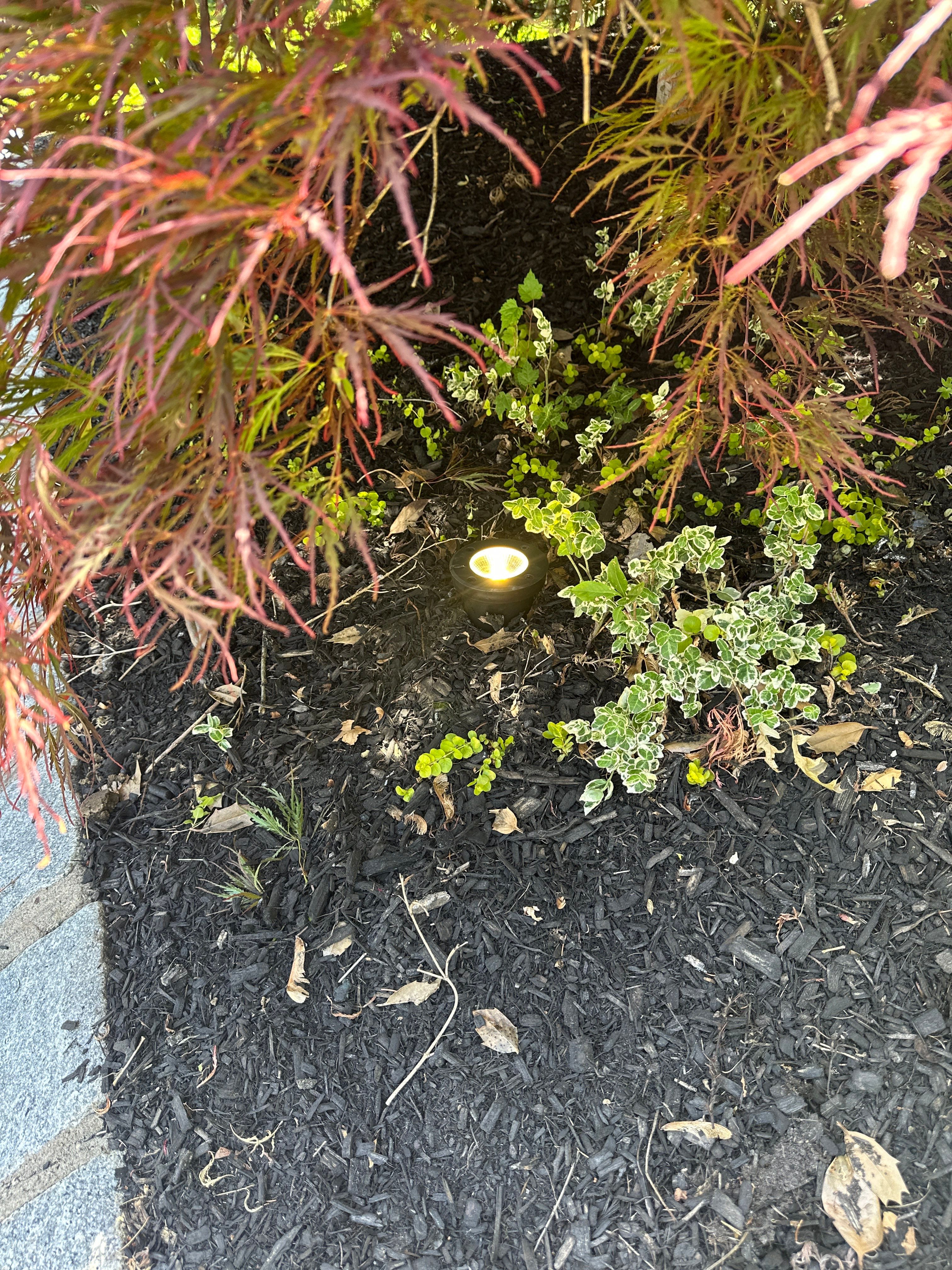 Landscape Lighting by Spartan Home Pros