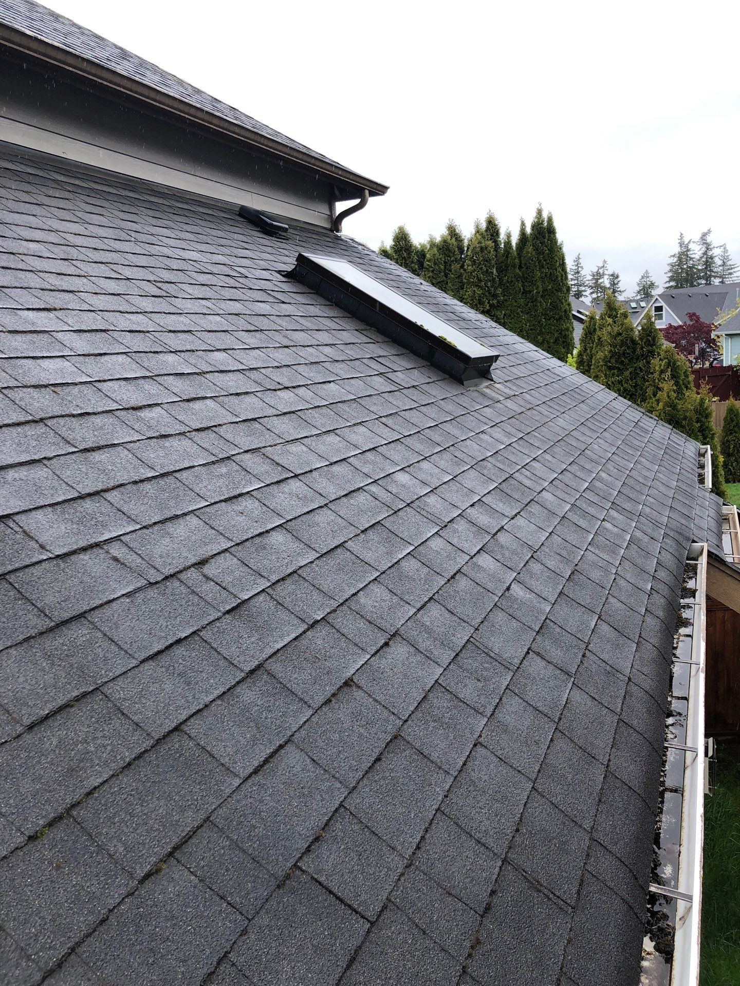 Project in Bellingham by Peaks and Valleys Construction