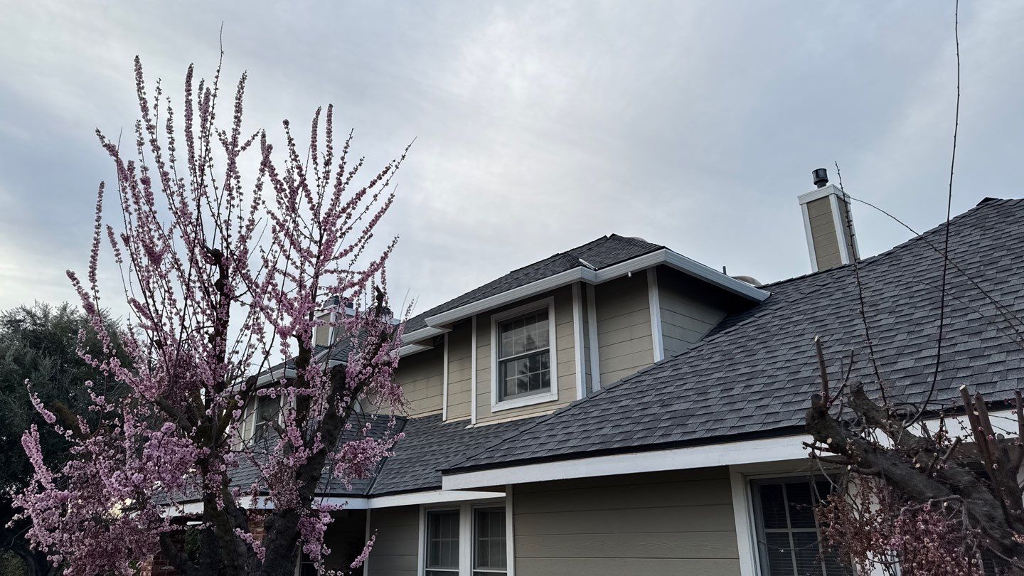 New shingles and gutters using GAF Timberline HDZ shingles and aluminum gutter by Straight Edge Roofing Inc