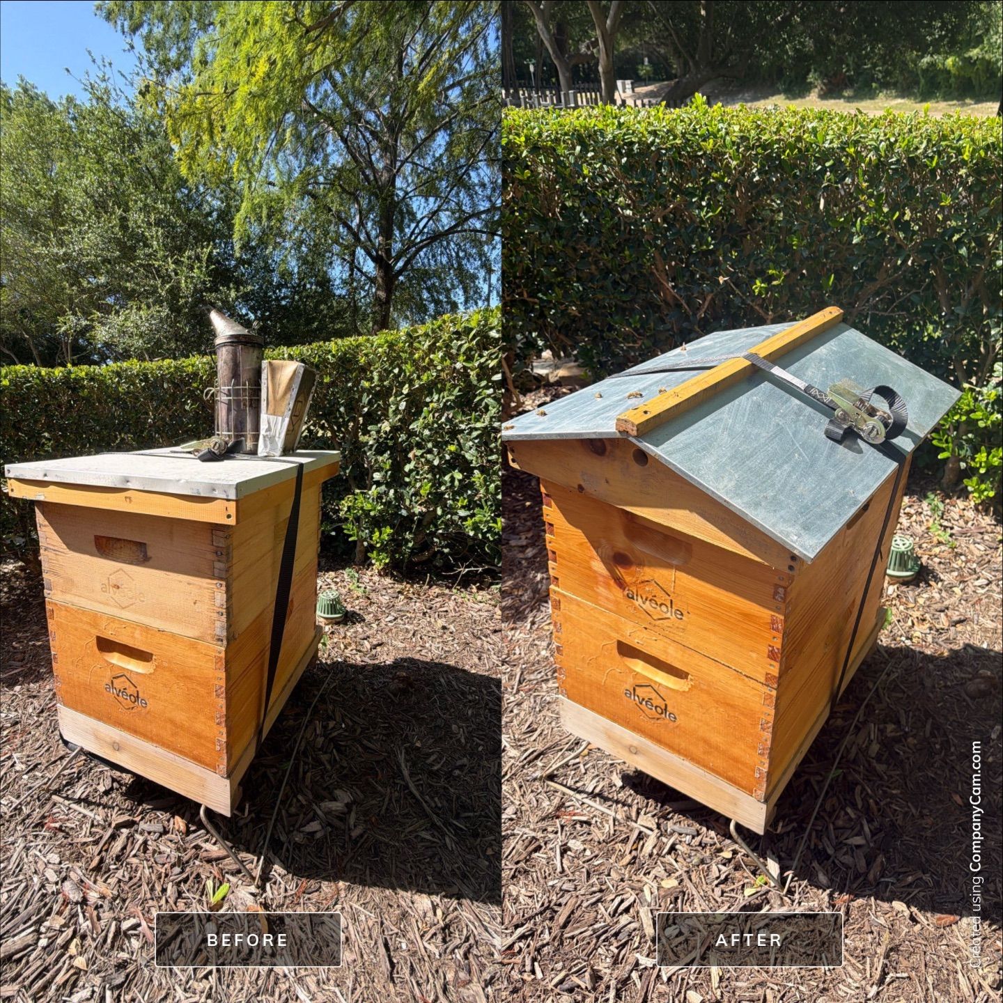 Apartment Retreat for Honey Bees in Garland by Rockwall Honey Bee Company