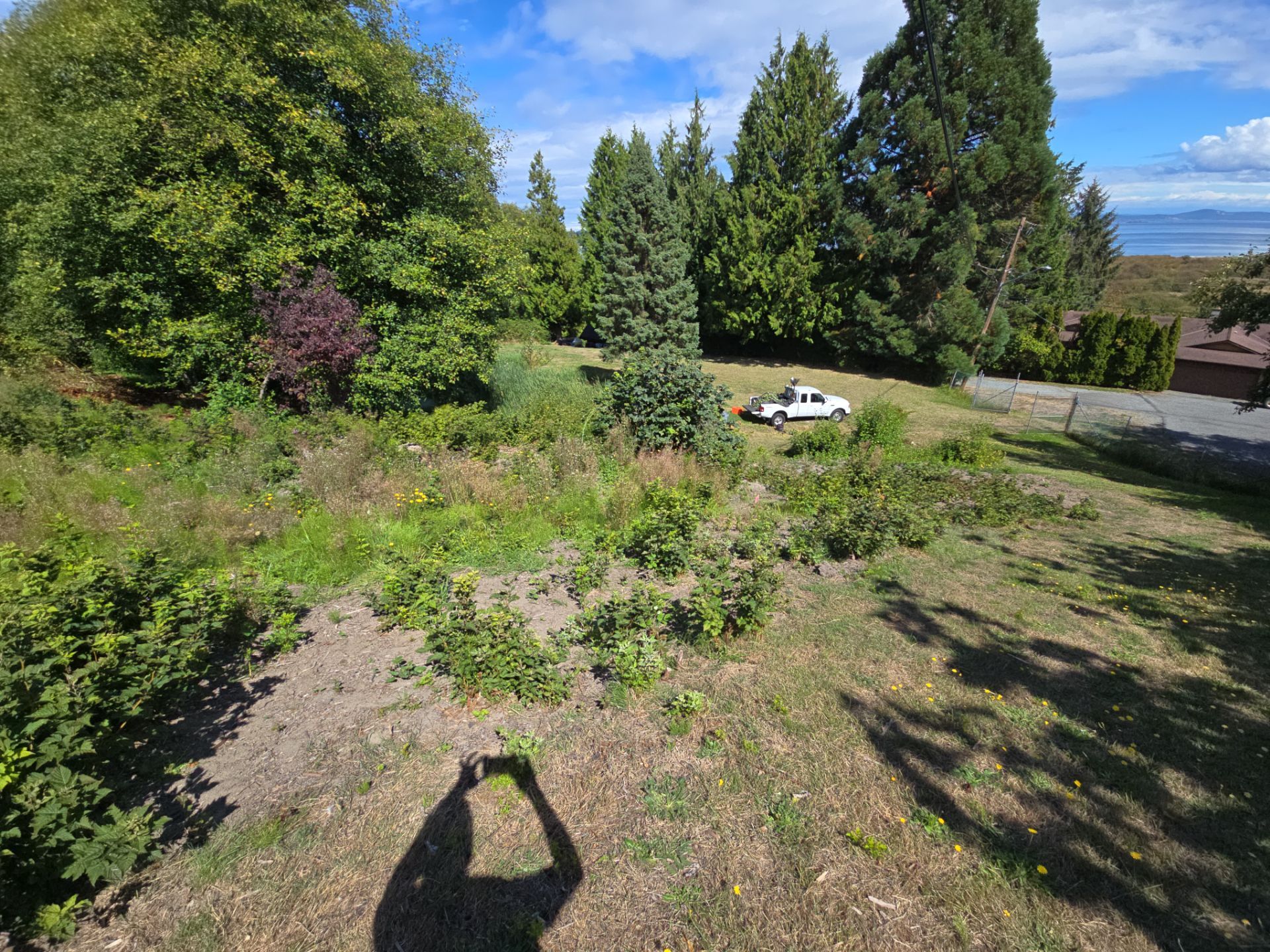 Island View - Ecological Restoration & Stewardship by Habanero Landscape Solutions