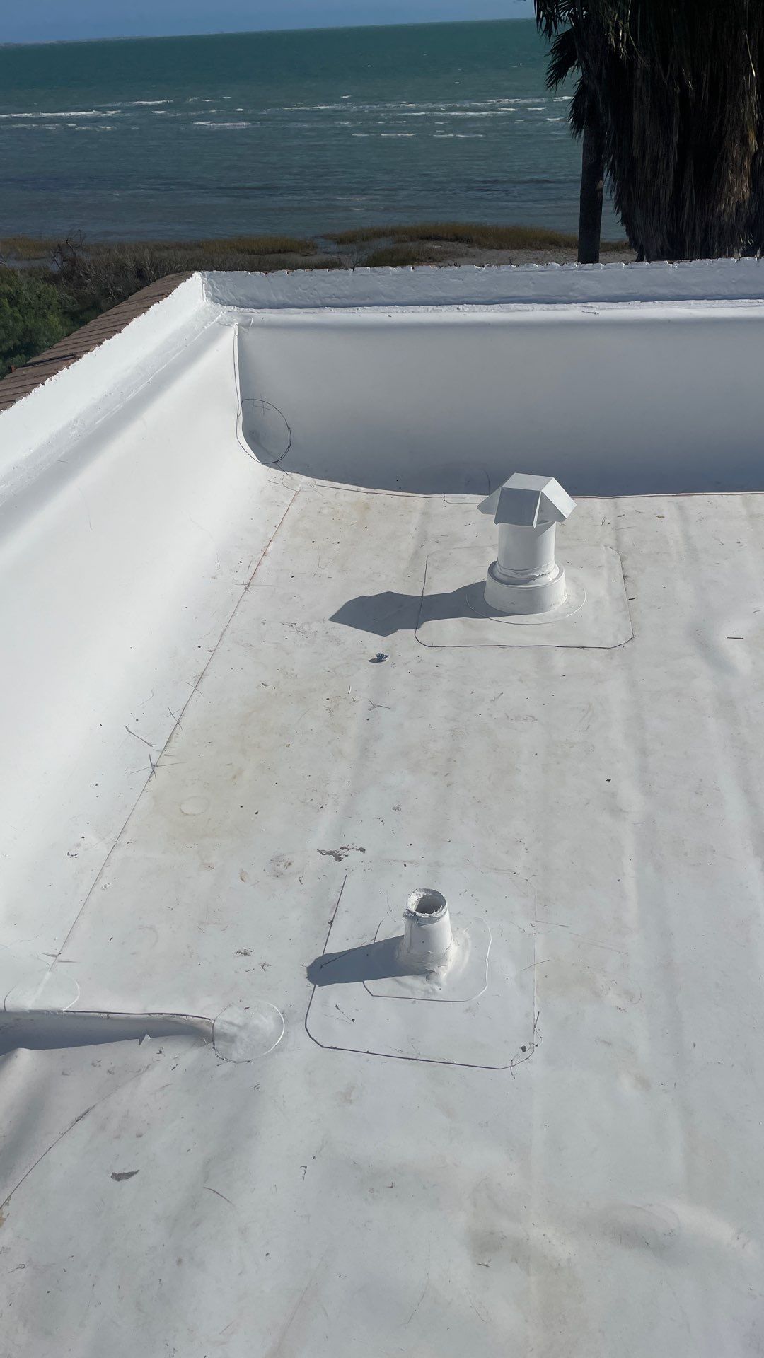 Problems in Paradise  by Bayfront Roofing and Construction