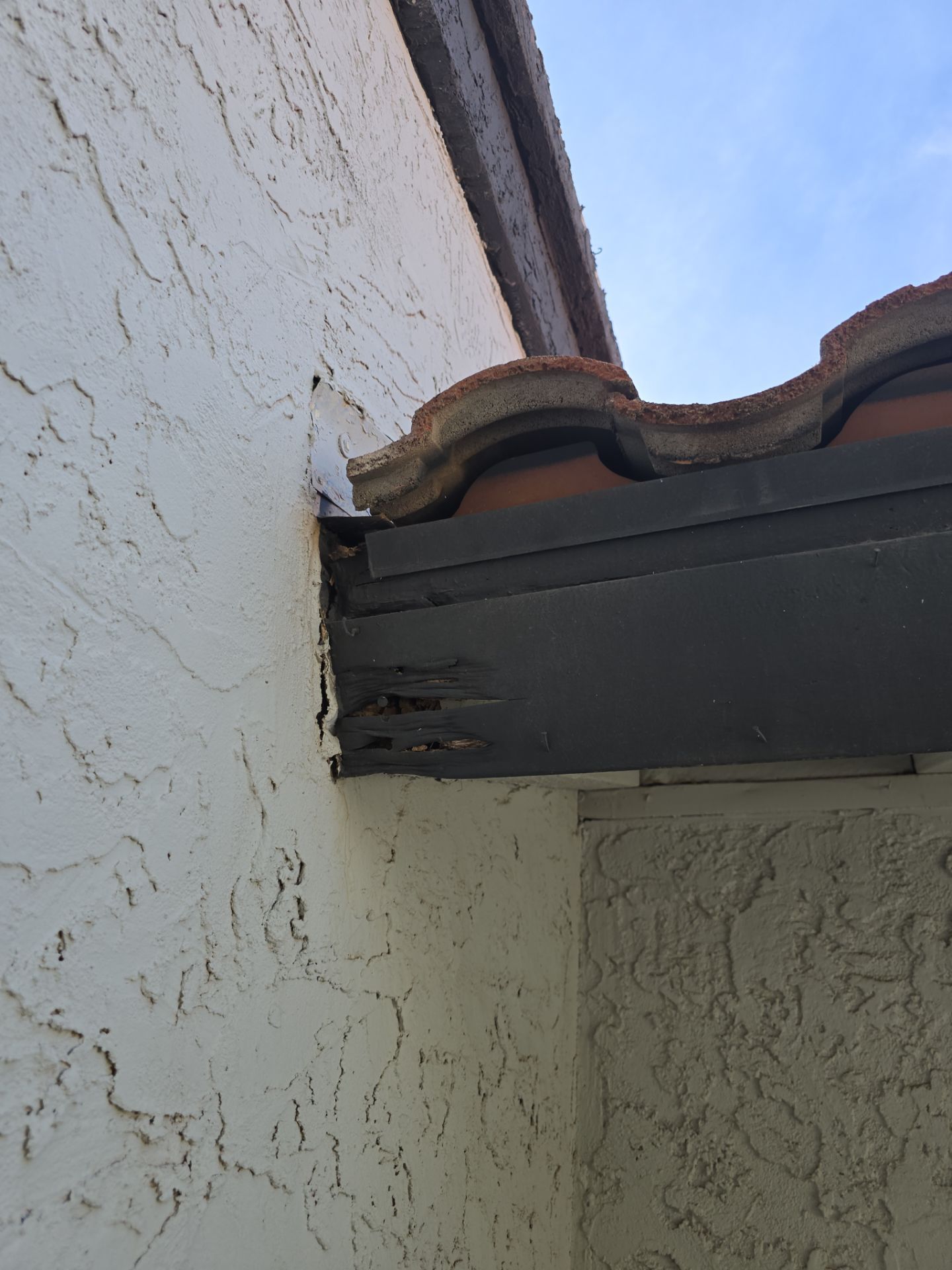 Project in Phoenix, AZ by Showtime Roofing & Coatings LLC