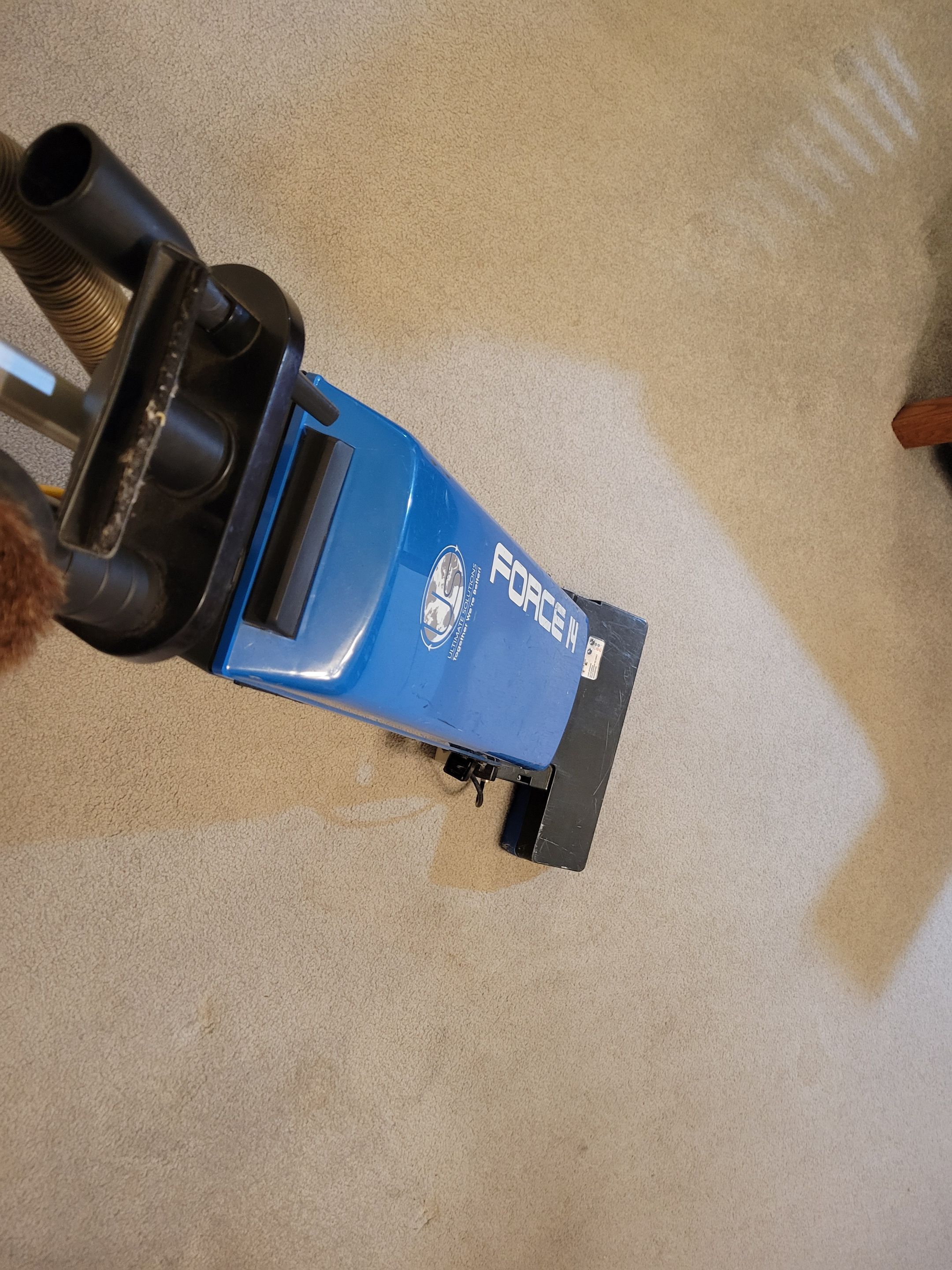 Furniture Impression Relief & Carpet Cleaning by Ardent Carpet Restore LLC