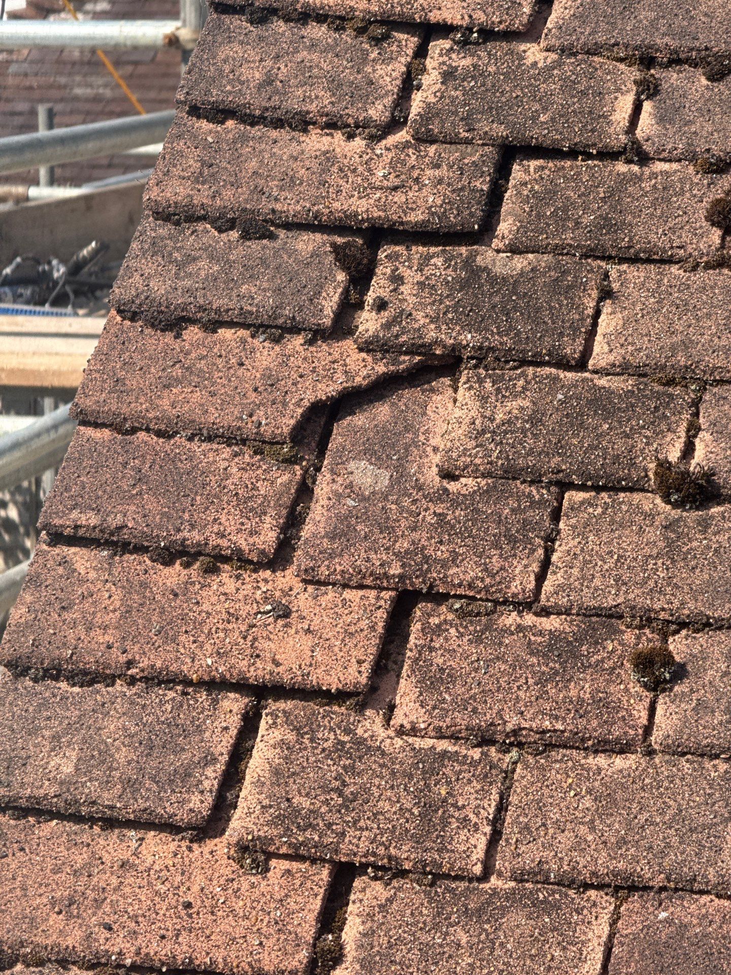 Roof Clean - Gutter Clean - Biocide Treatment by Ges Exterior Cleaning ltd