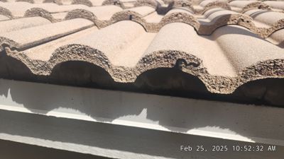 Roofing & Exteriors using Boral Estate Roof Tile