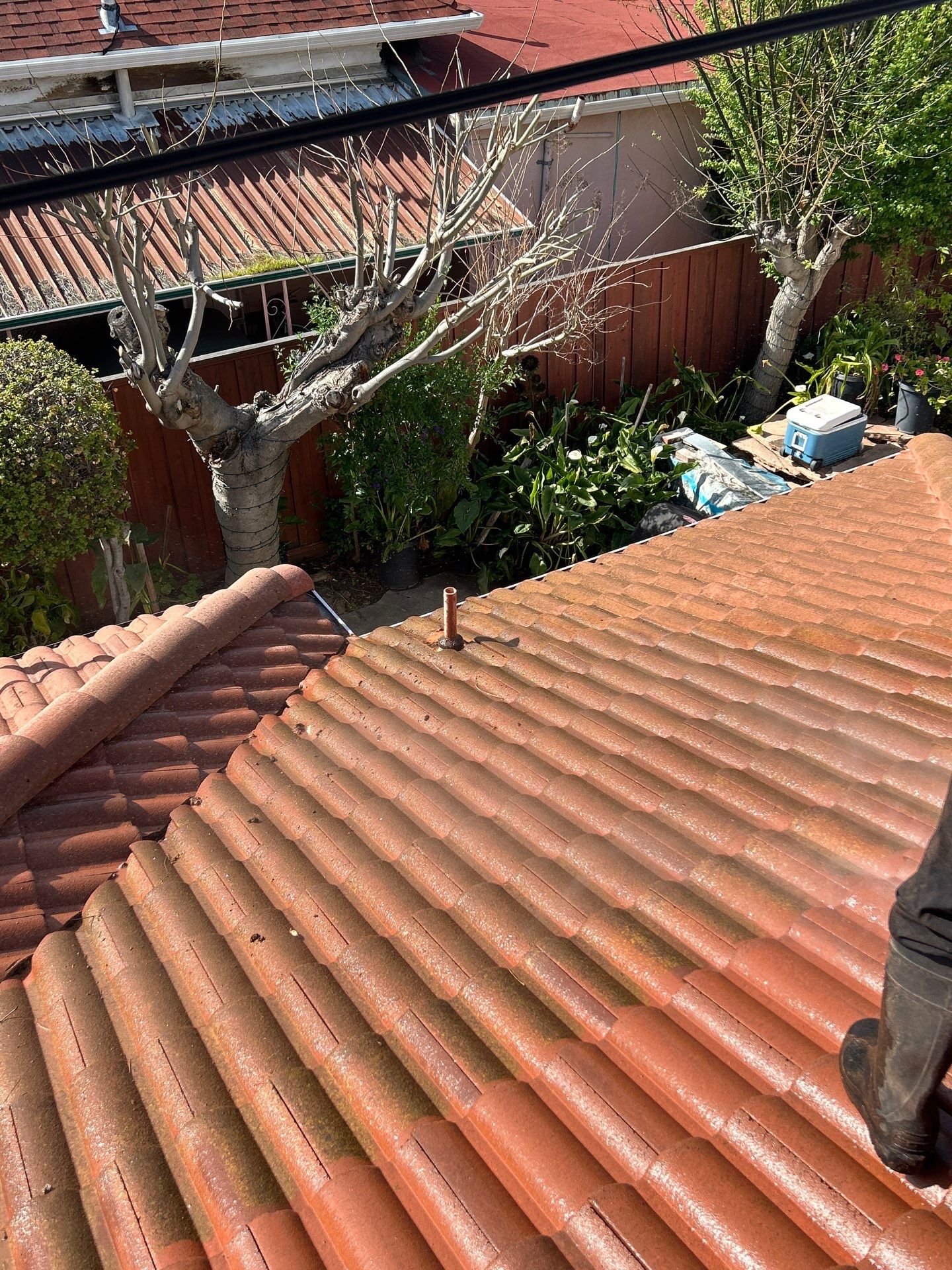 Roof Cleaning-Insurance Renewal by All One Solar Shine