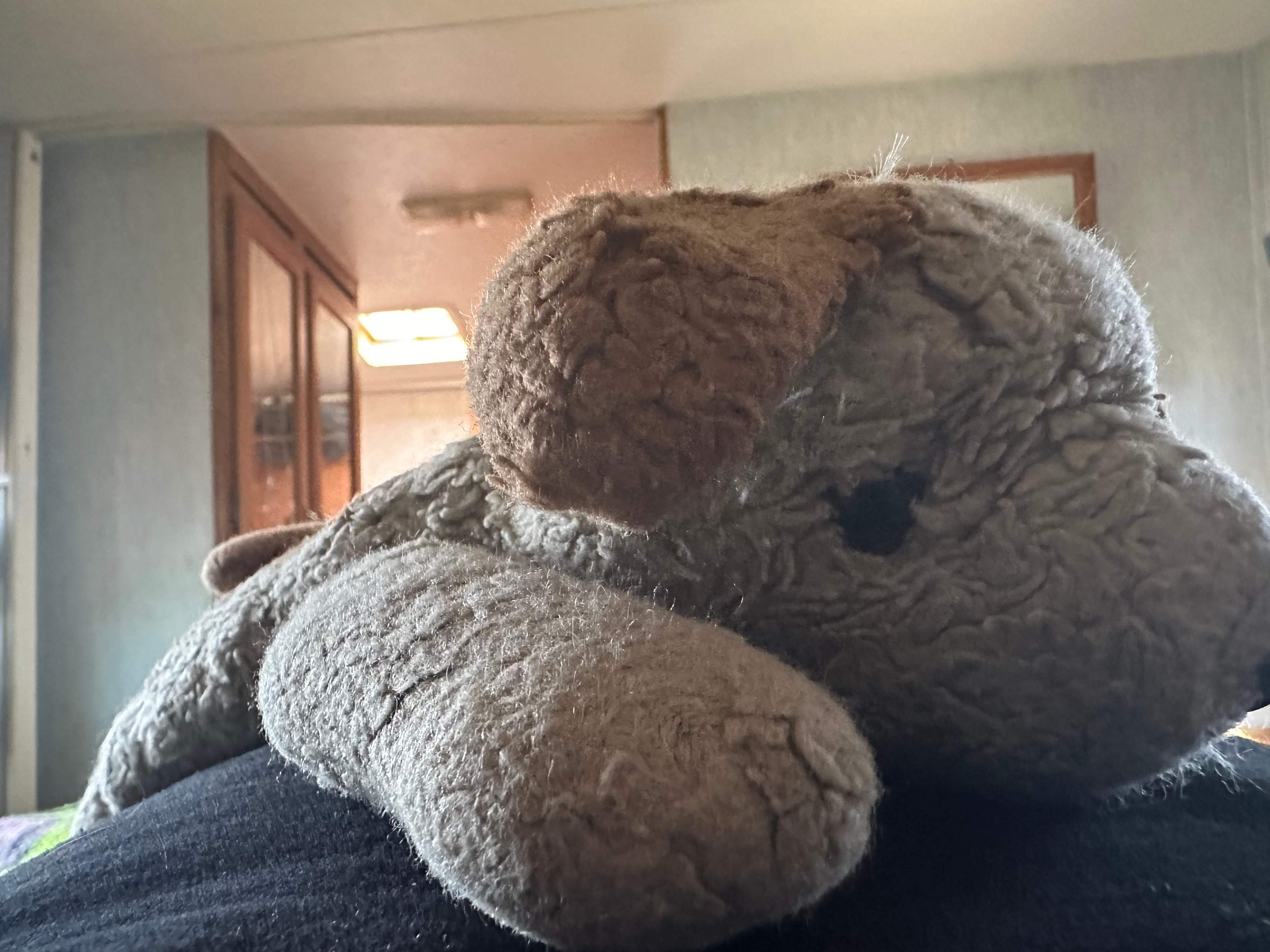 BeeGirl's Honey House in the Midwest by Rockwall Honey Bee Company