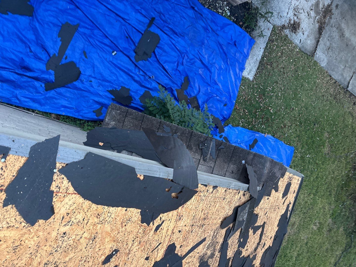 Roof Replacement Houston by Roof Repair Services LLC
