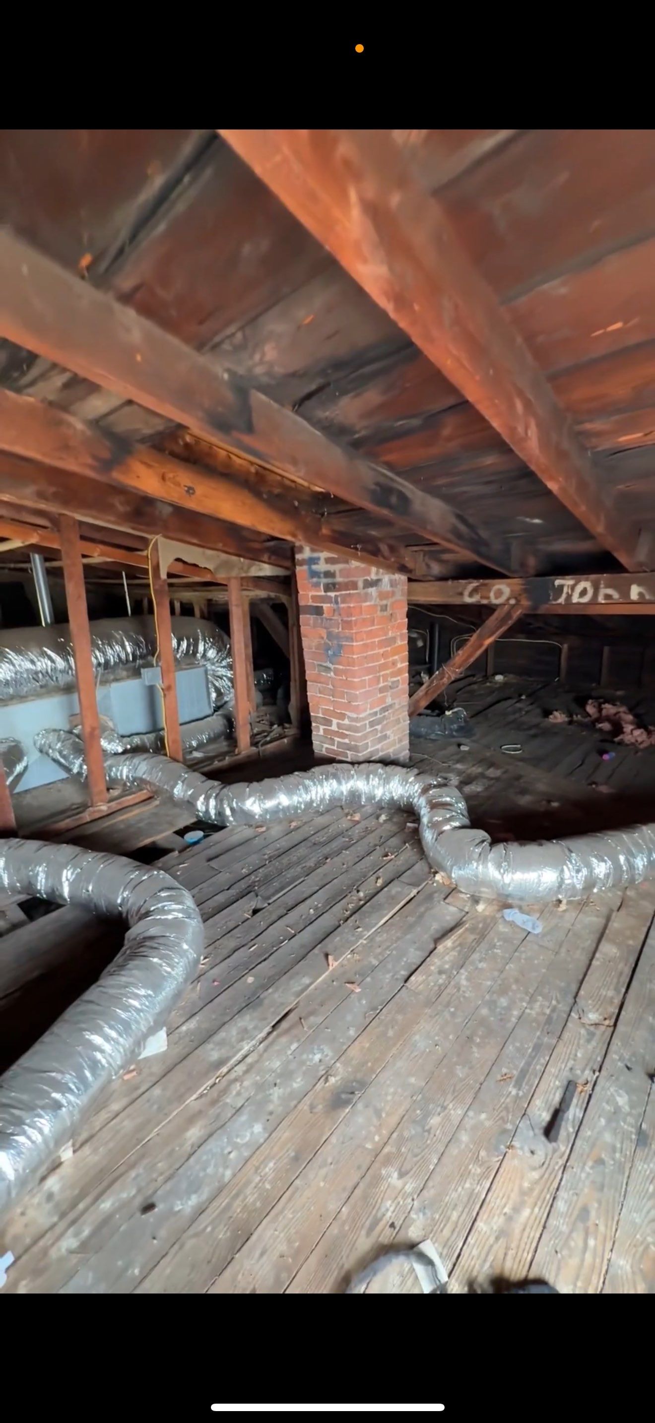 BIOHAZARD PIGEON FECES by Sadie’s Pro Cleaning