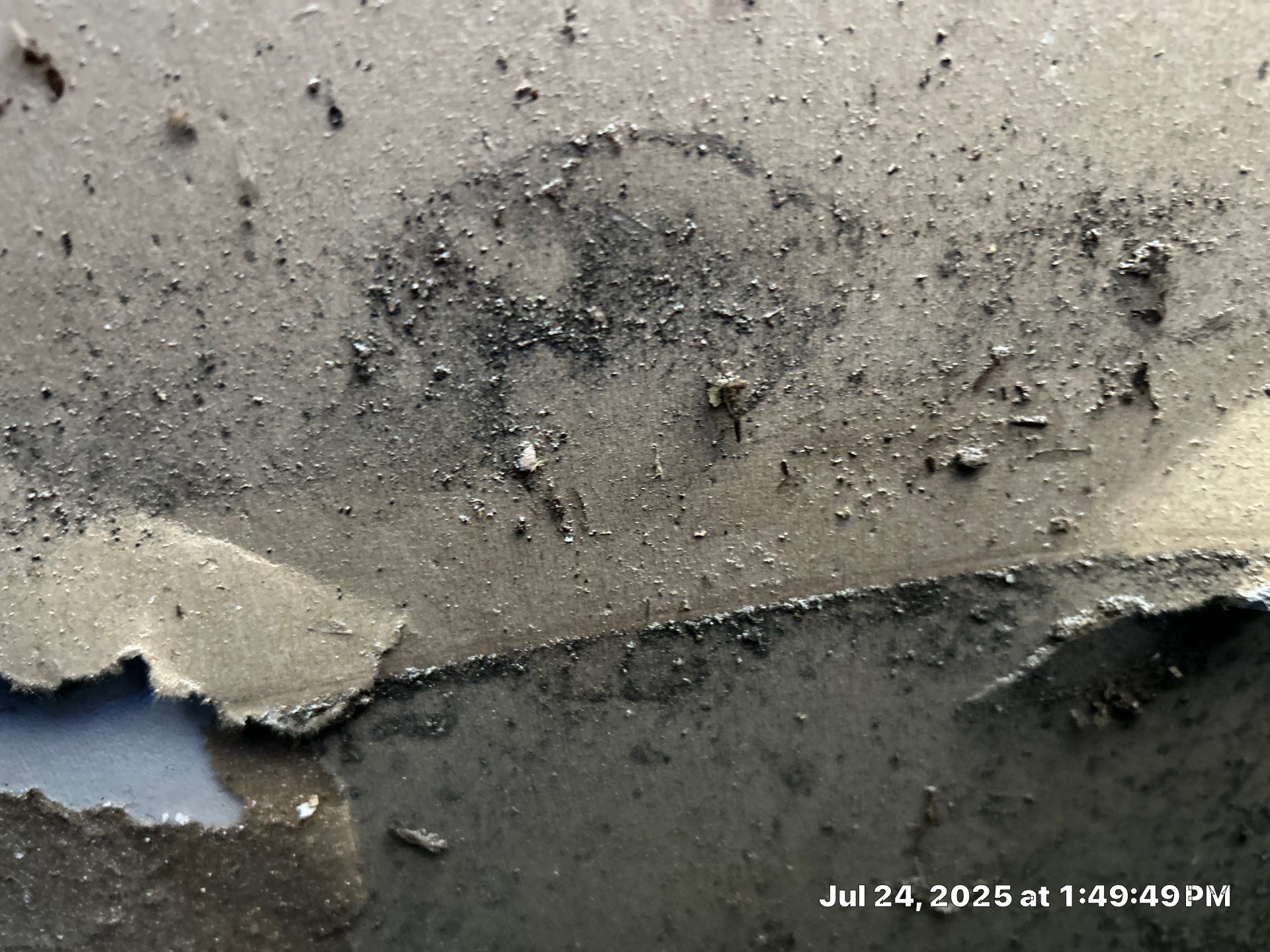 Mold Inspection & Mold Removal In St. Petersburg, FL by Ampm Restoration Services
