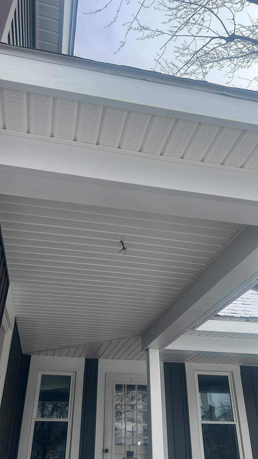 Residential fascia replacement using Exterior Portfolio 4.5 DL - Peppercorn by Nitro Roofing and Construction