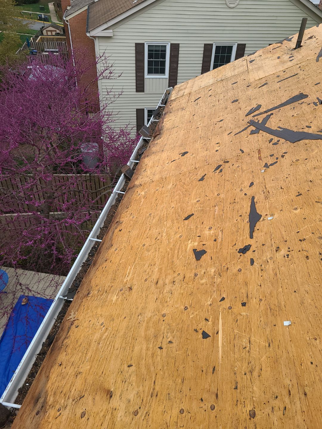 Springfield: Residential Roof Replacement with CertainTeed Landmark Pro in Max Def Red Oak by RM Banning, Inc.