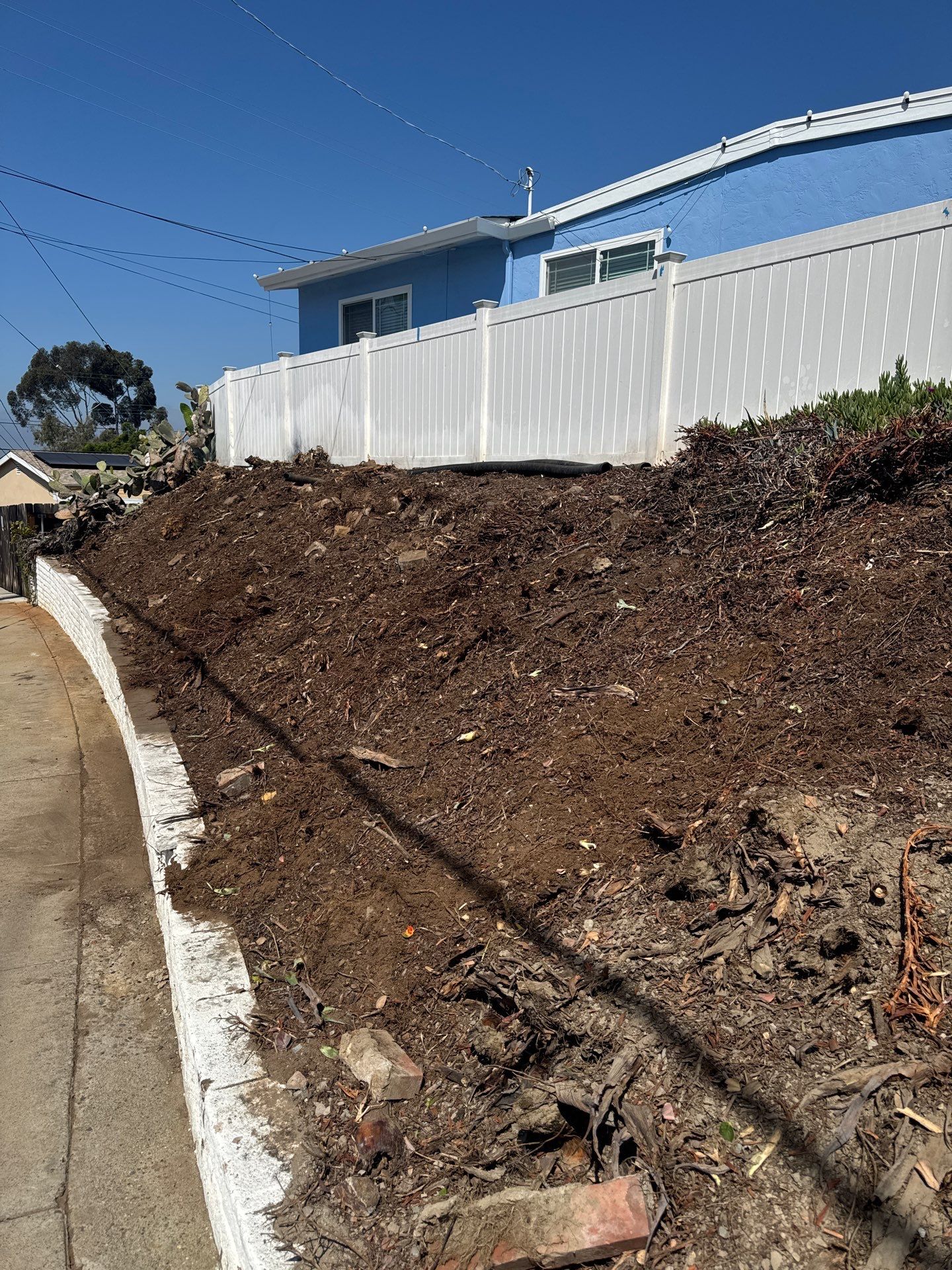 Professional Landscape Clean Up and Debris Removal in San Diego by Yard Techs