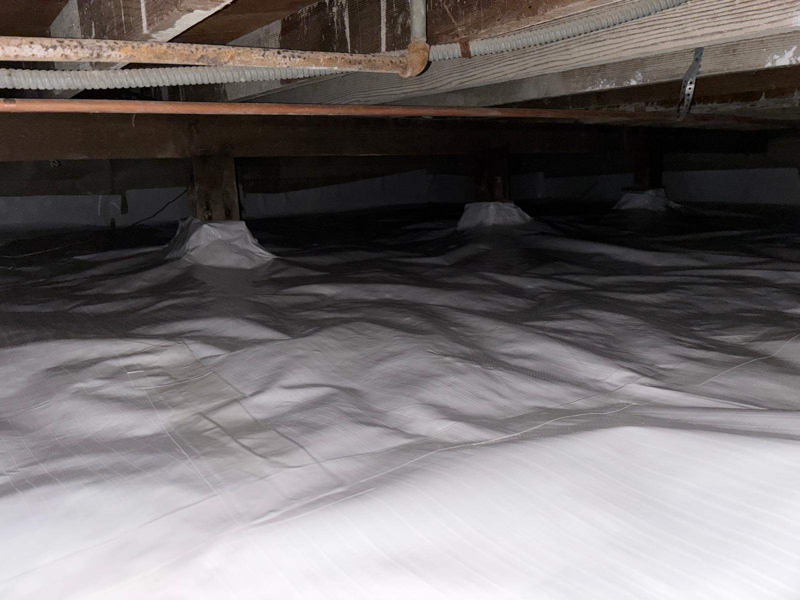 Project in Venice by Insulation Labs