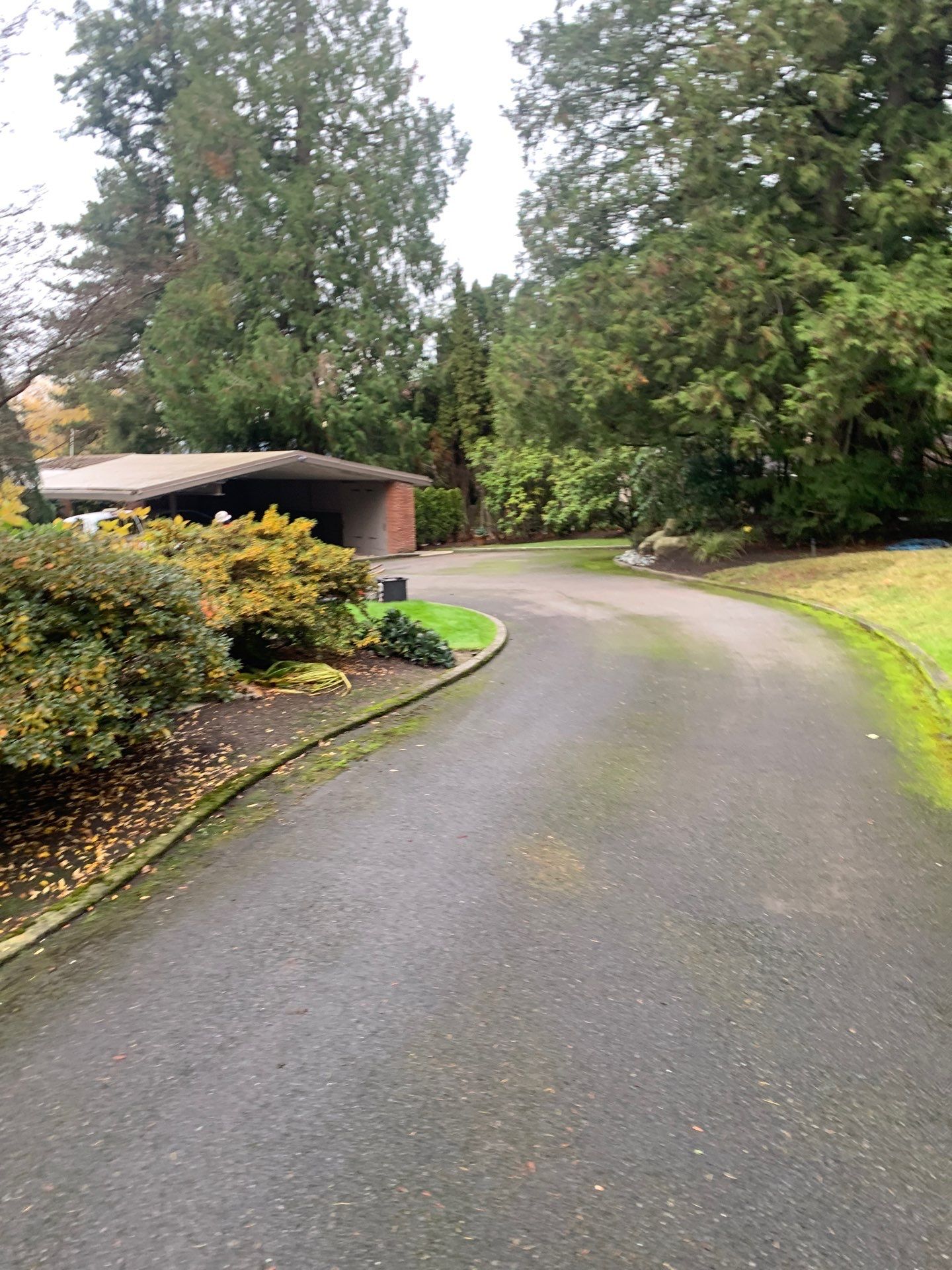 Asphalt Patch Repair | Bellevue  by Jireh Asphalt & Concrete Inc 