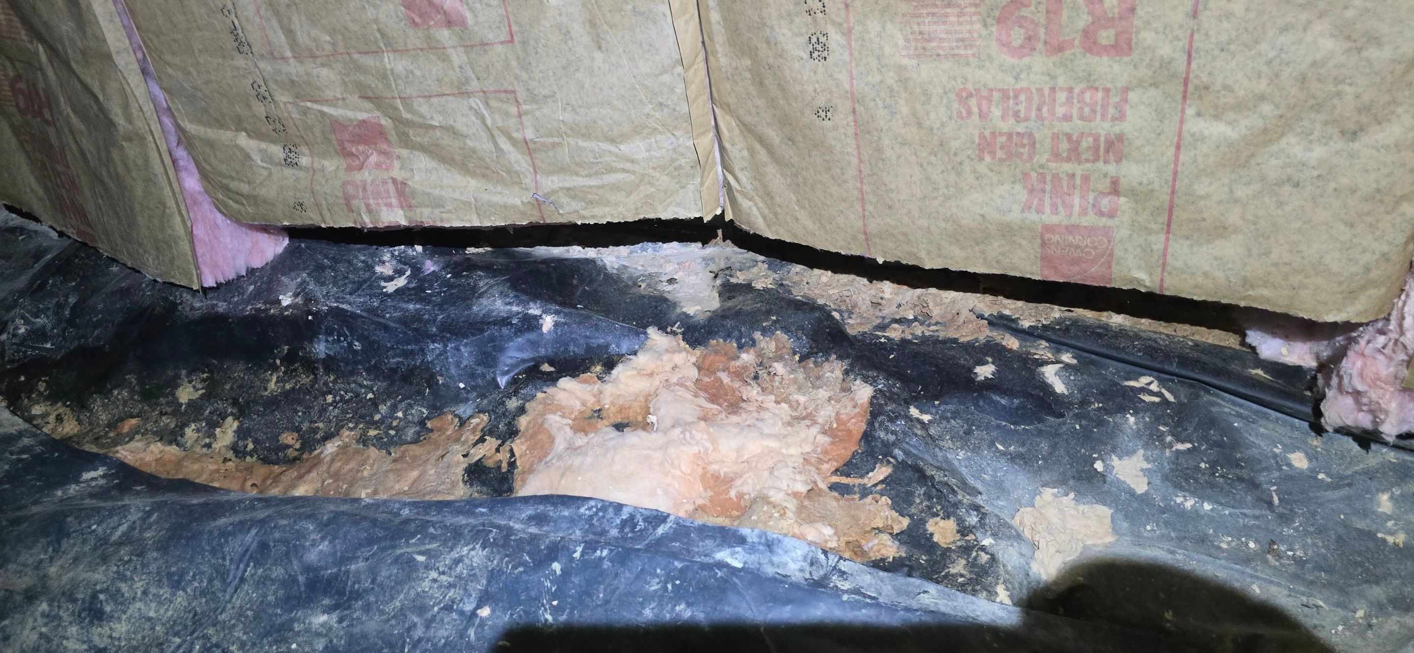 Crawl Space Encapsulation by Toledo Basement Repair