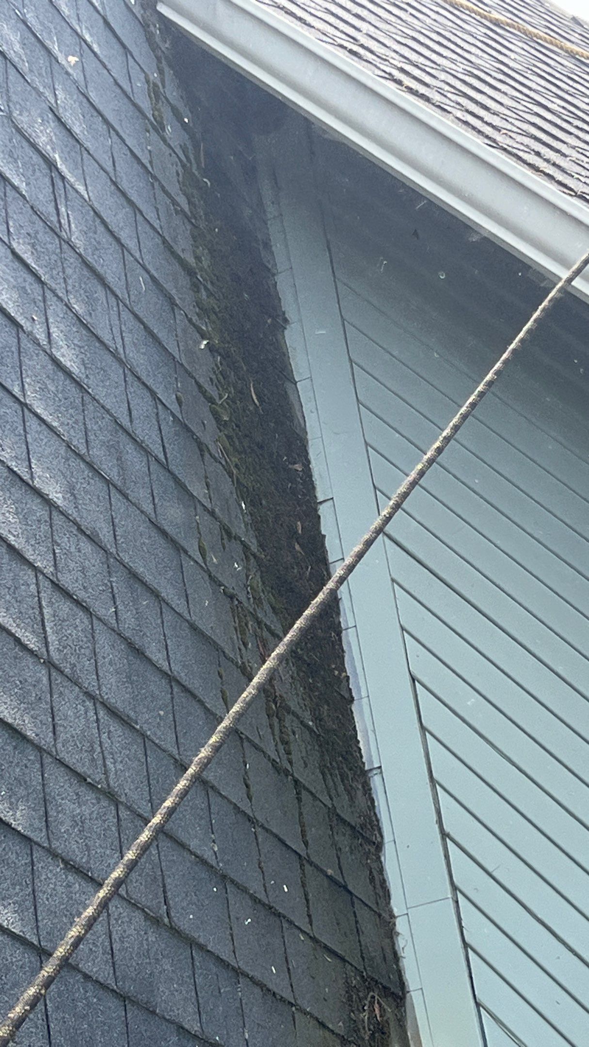 Roof Rejuvenation using Roof Maxx Treatment by Roof Maxx of Folsom