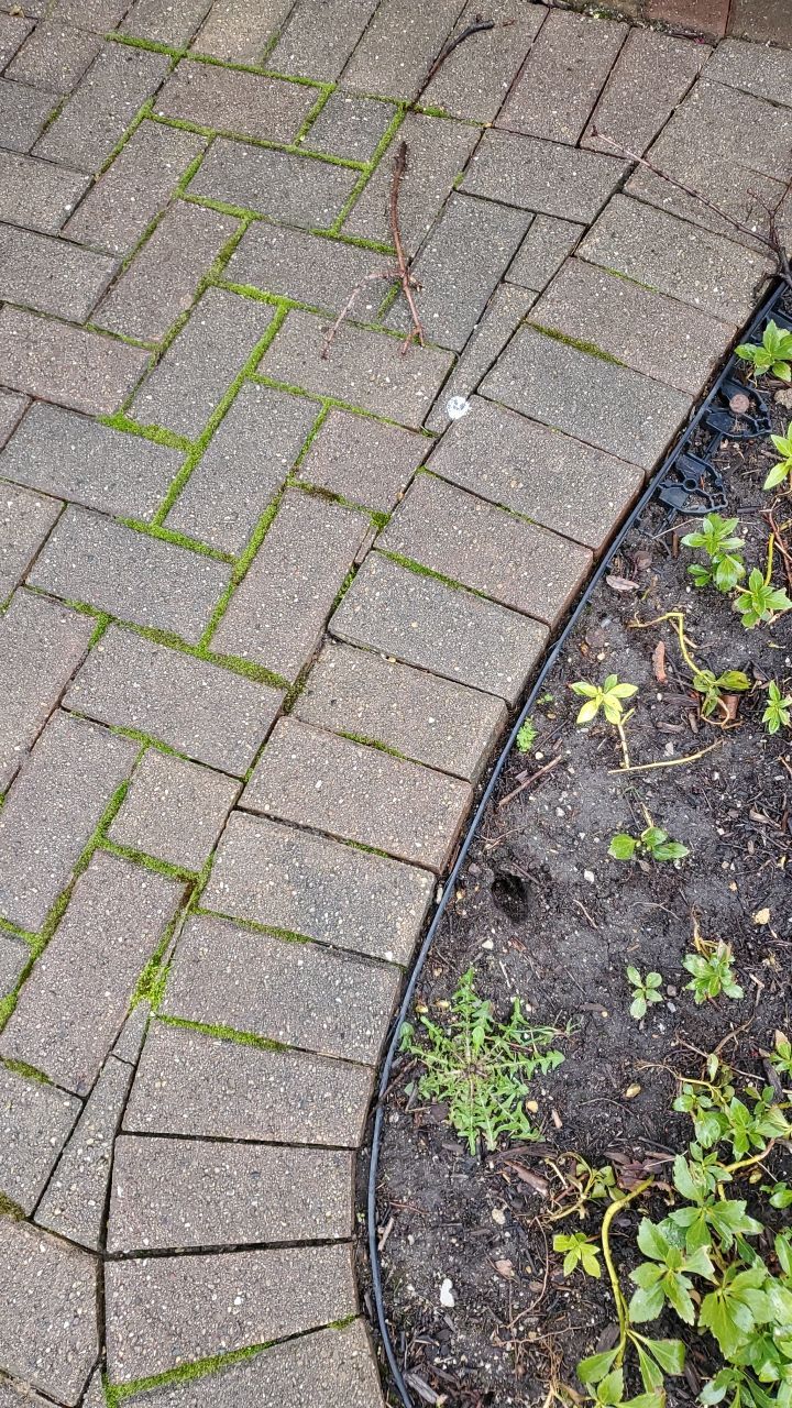 Brick paver clean, sand and seal.  using Surebond SB-1300 by Northern Power Washing LLC.