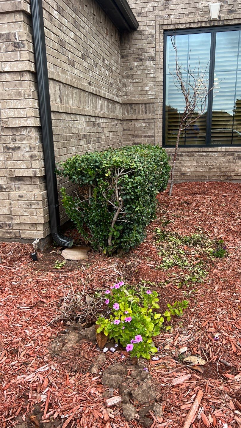 Landscape  by Clays Services Inc