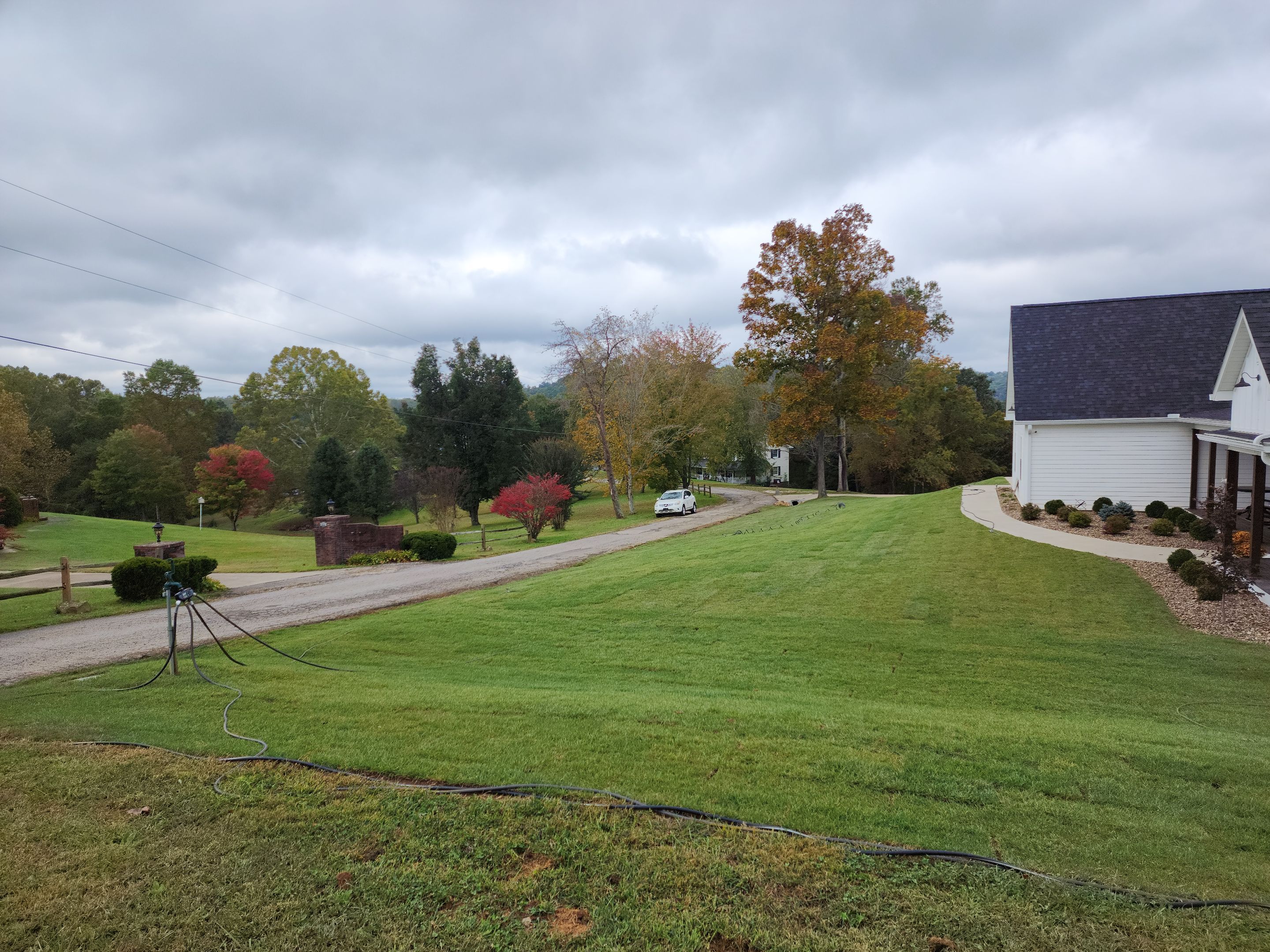 Sod Installation using Fescue Sod by GrassBusters, Inc.