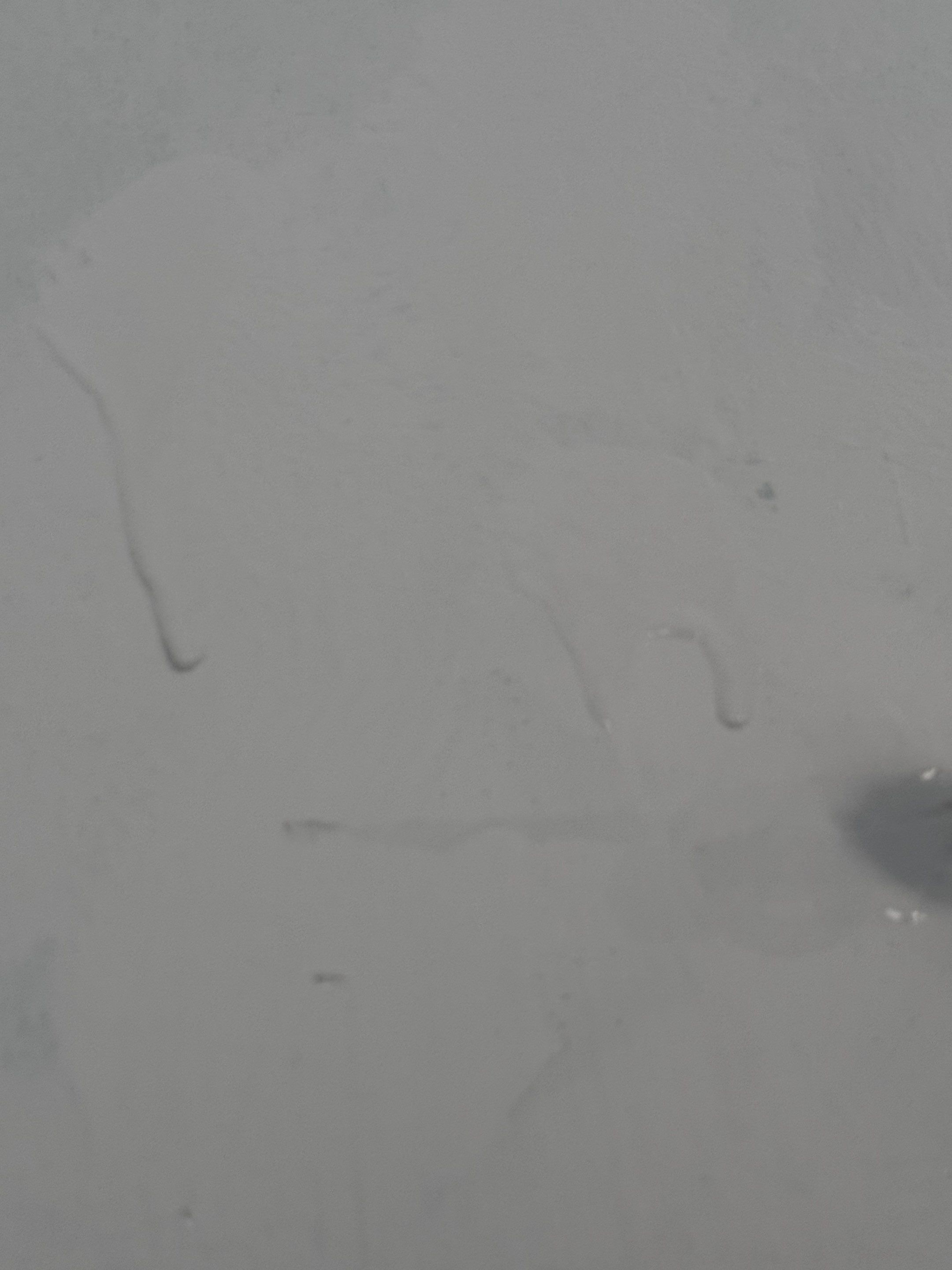 Interior Painting & Drywall Repair by Praise God Painting, LLC