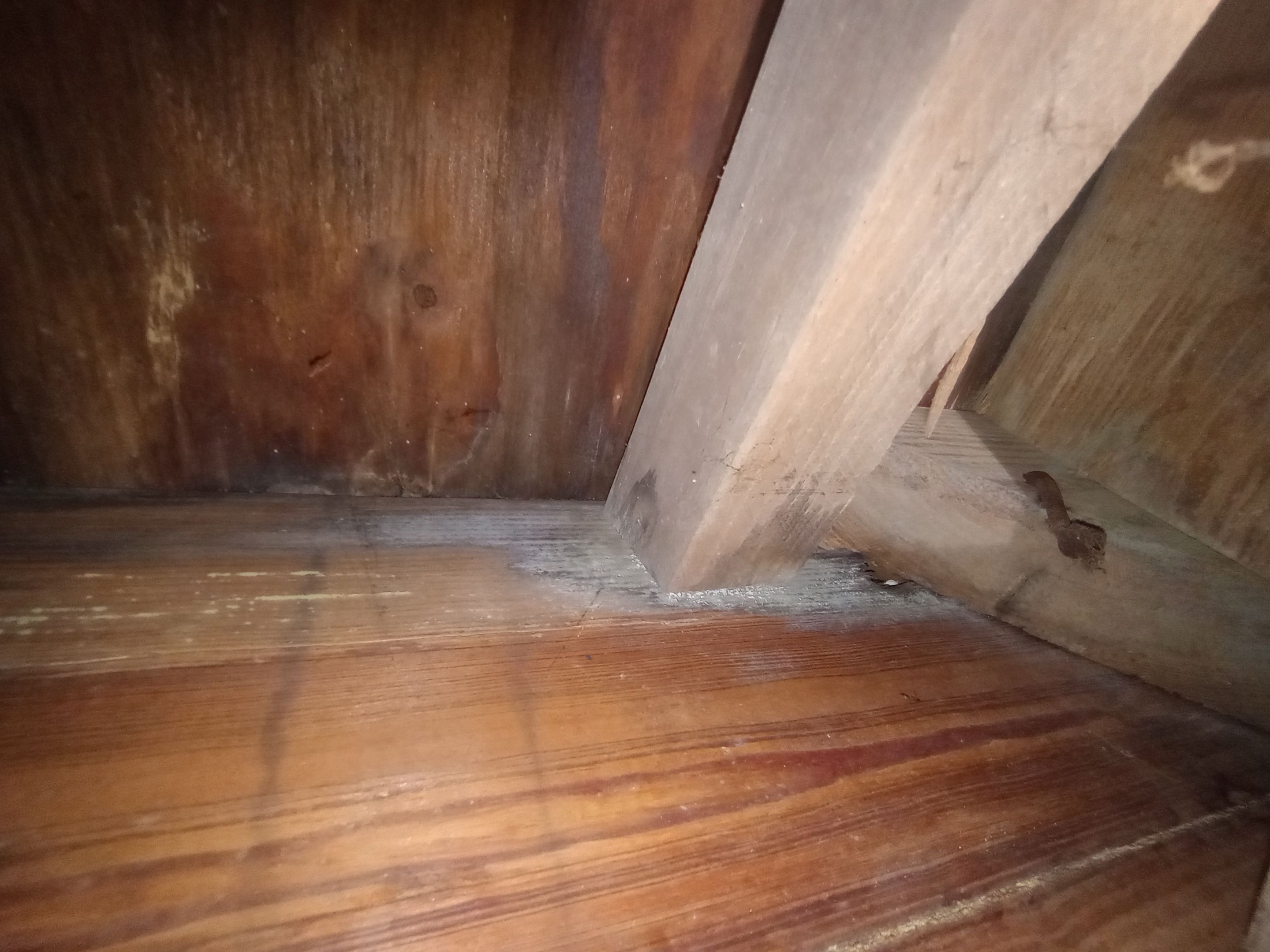Mold Remediation Estimate in Crawlspace by ANR Restoration