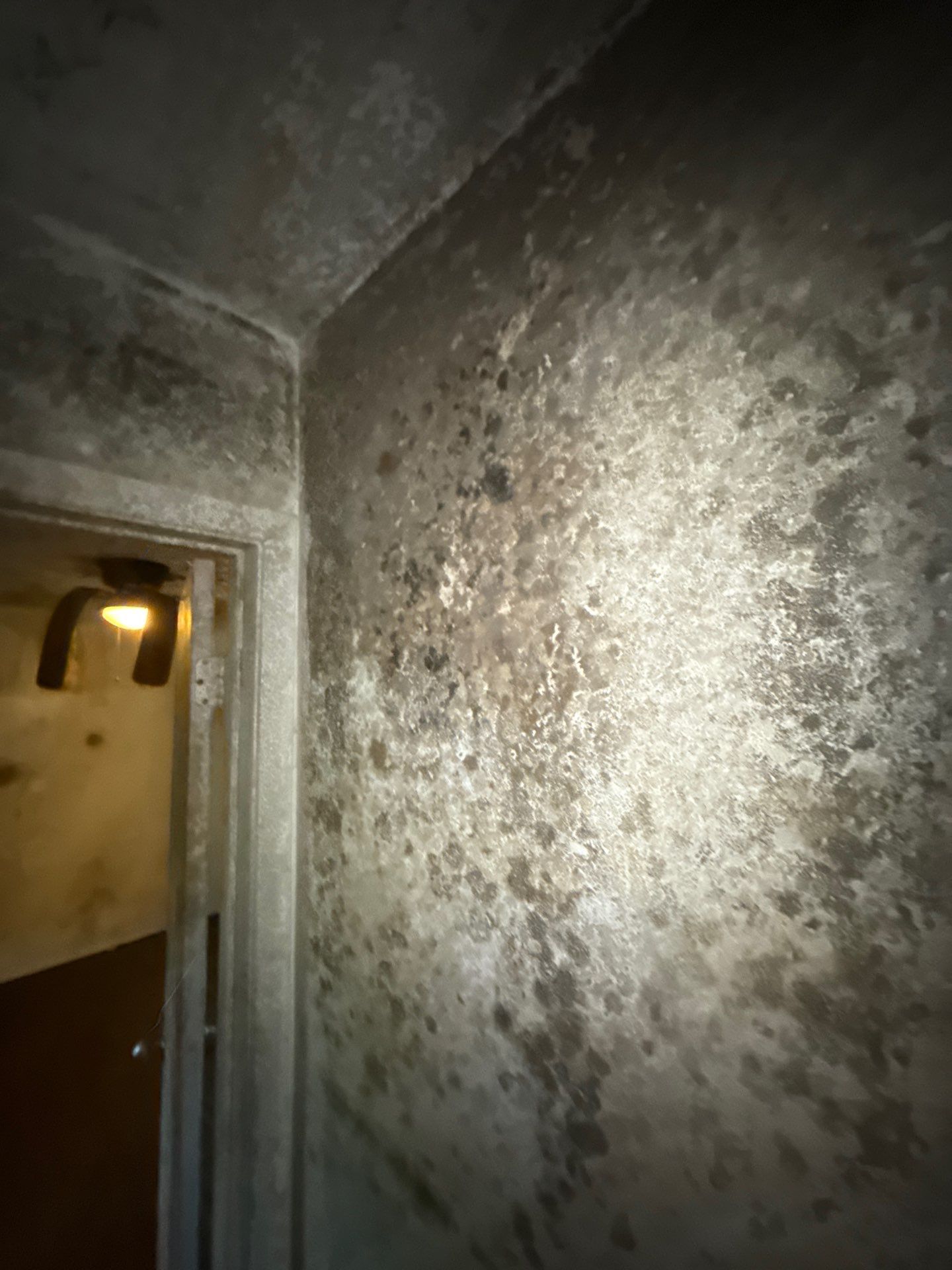 The Slate by Disaster Recovery Consultants