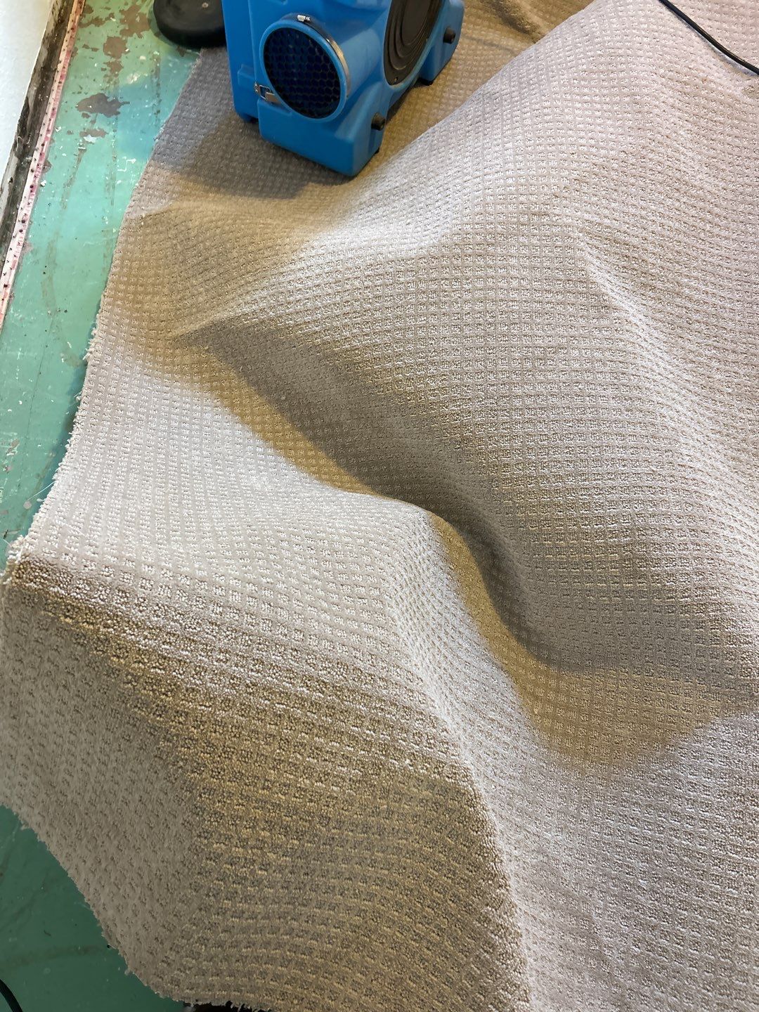 Mold Remediation by Accountable Home Services