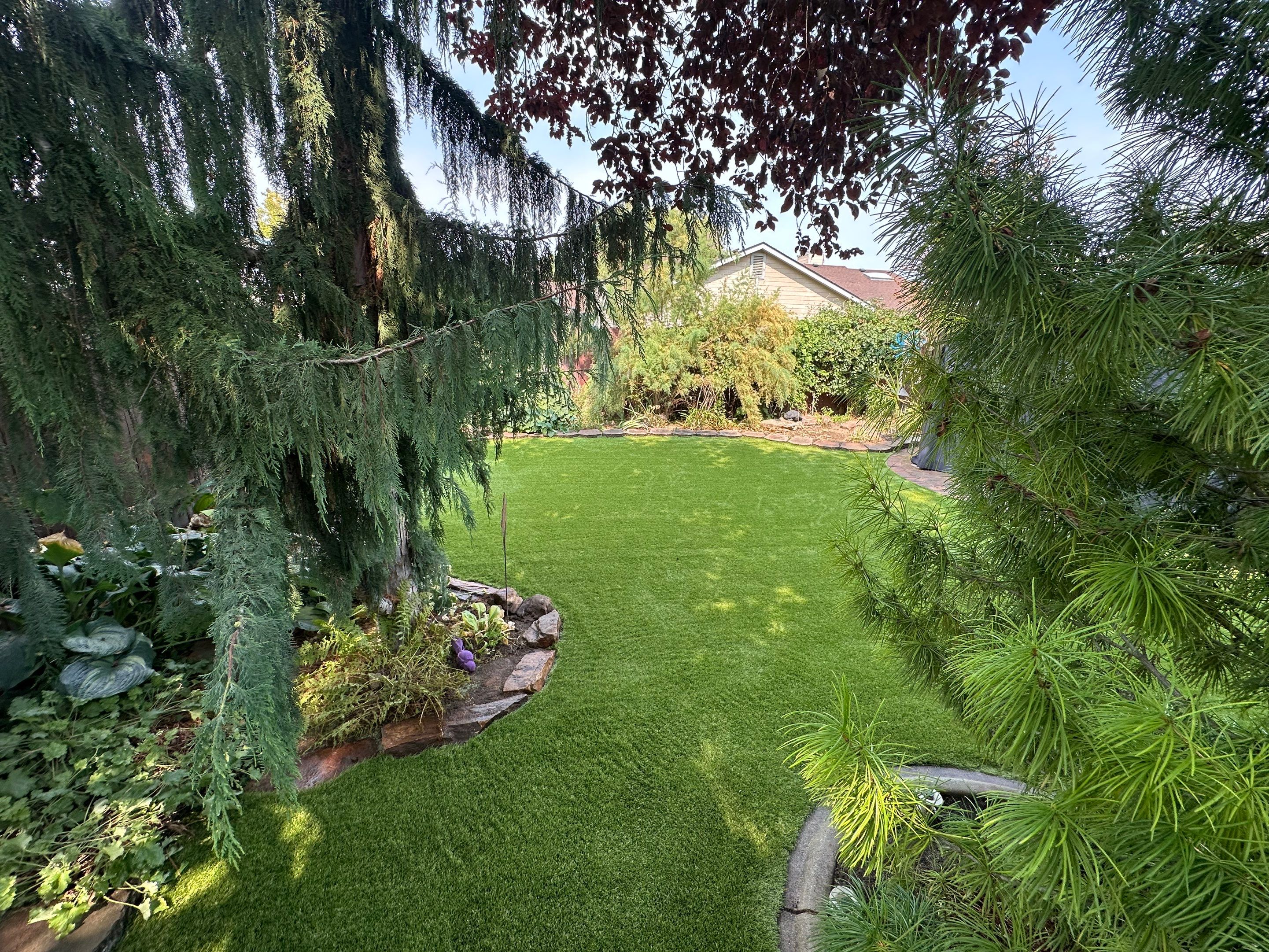 Project in Boise by Synlawn Idaho