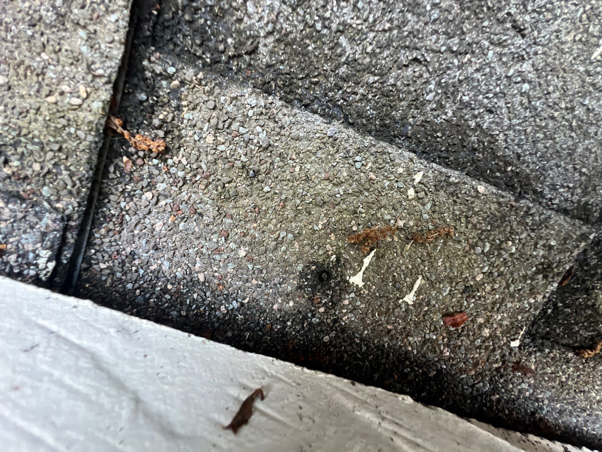 Roof Repair Sugarland by Roof Repair Services LLC