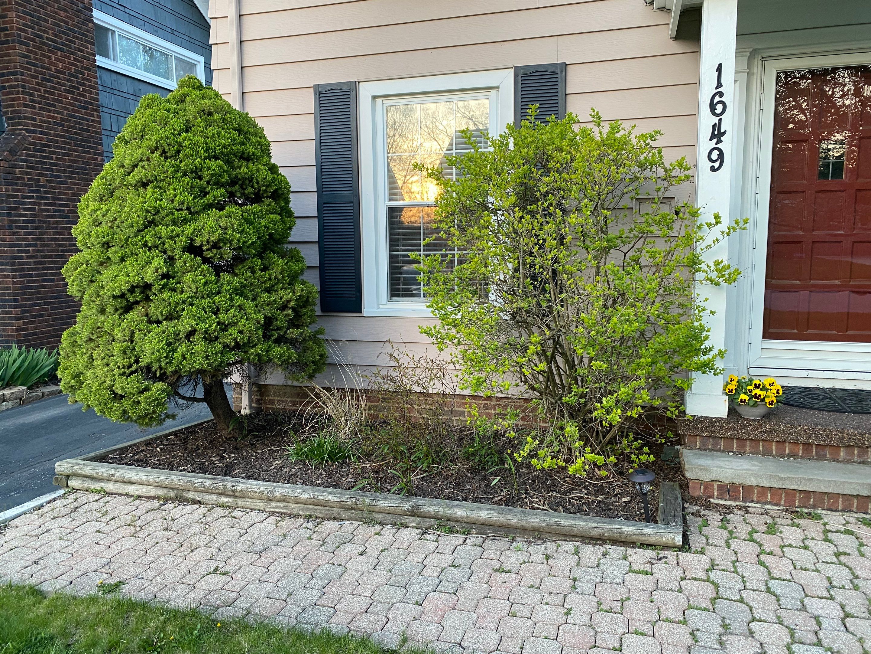 Grounds Maintanance by Elm Rose Gardens