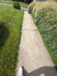 Roof Cleaning in Sparta, NJ — Gallo Bros job photo