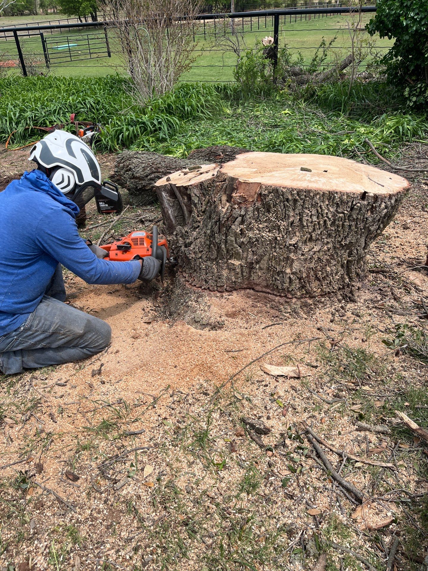 Tree Removal by Clays Services Inc