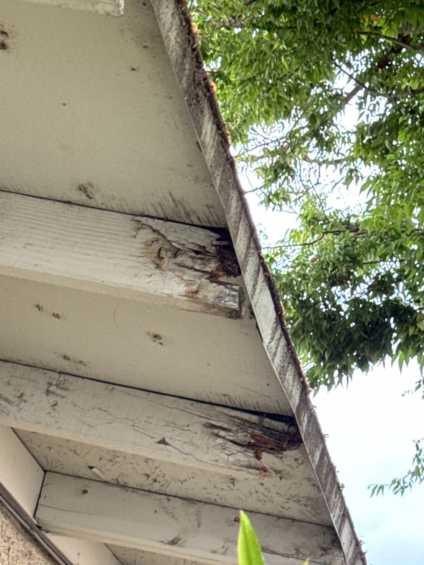 Abilene Ct Modesto CA  by Econo Roofing