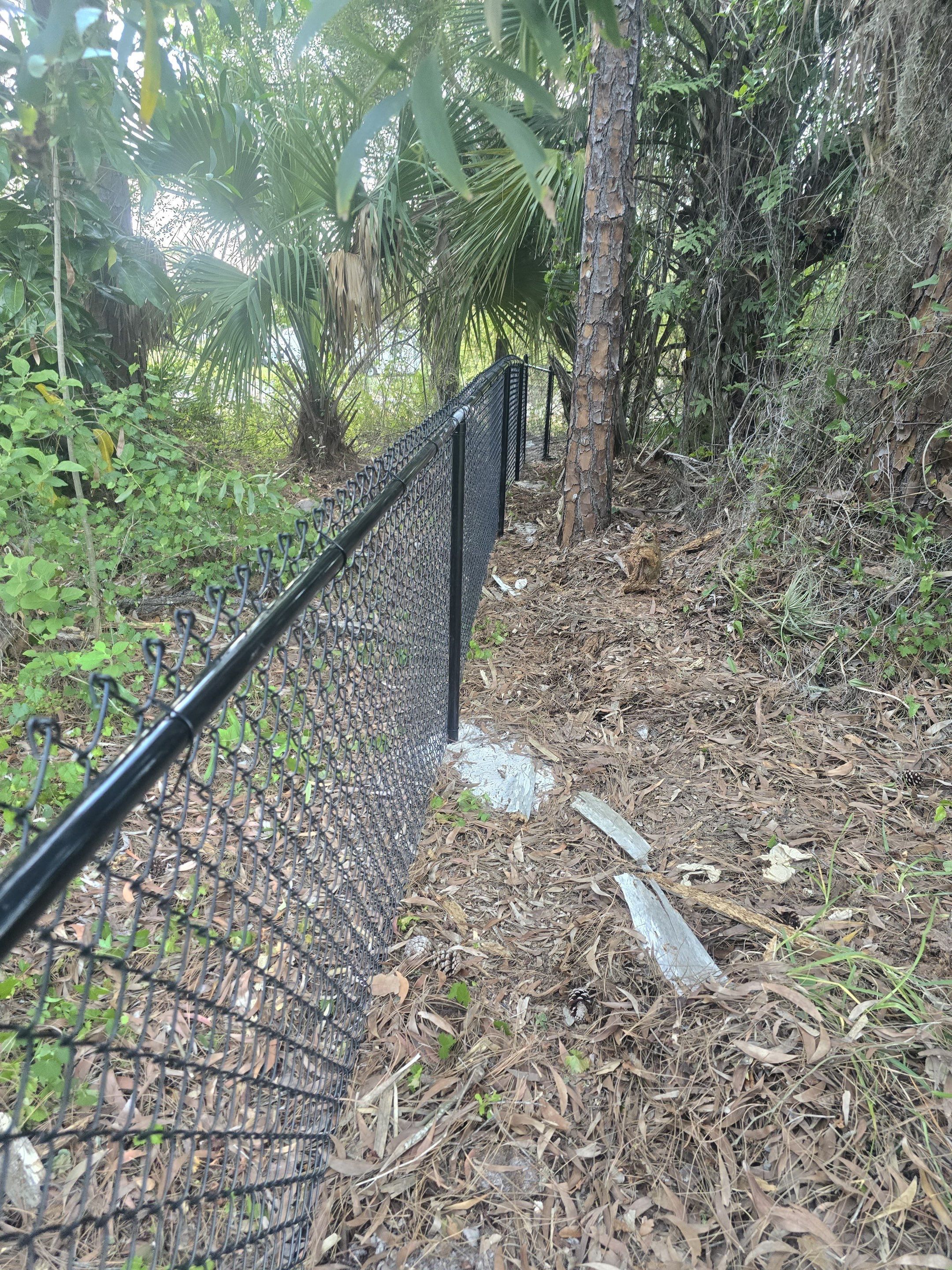 Chain Link Fence in Naples by True Fence LLC