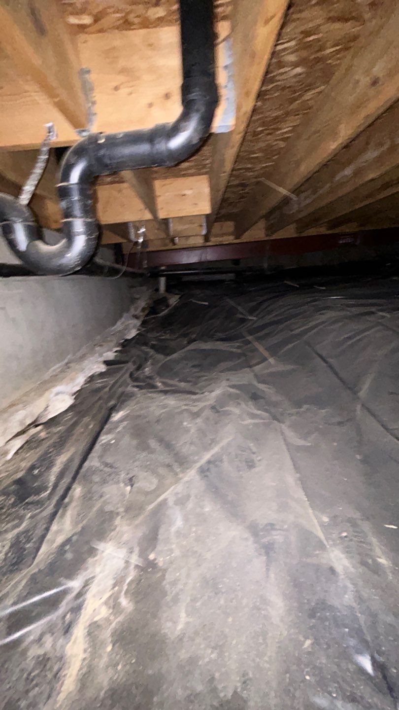 Mold Damage by Accountable Home Services