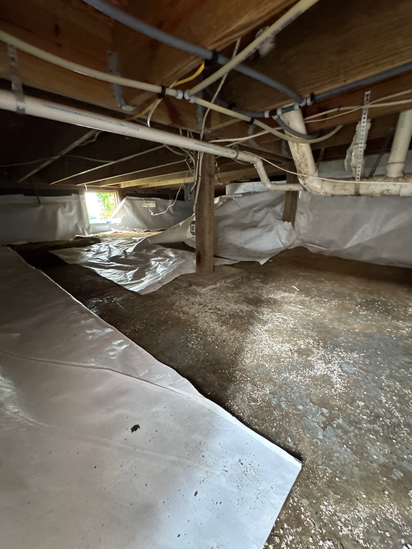 Biohazard Crawlspace by ANR Restoration