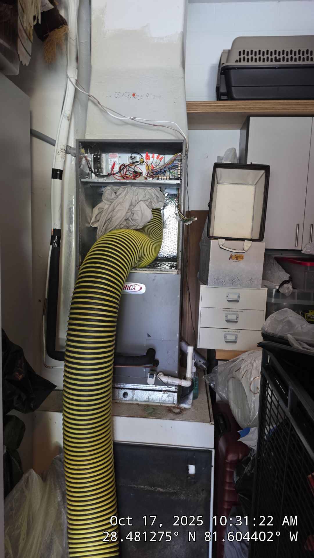 AIr Duct and Dryer Vent Cleaning in WInter Garden by Hygienic Air, Inc