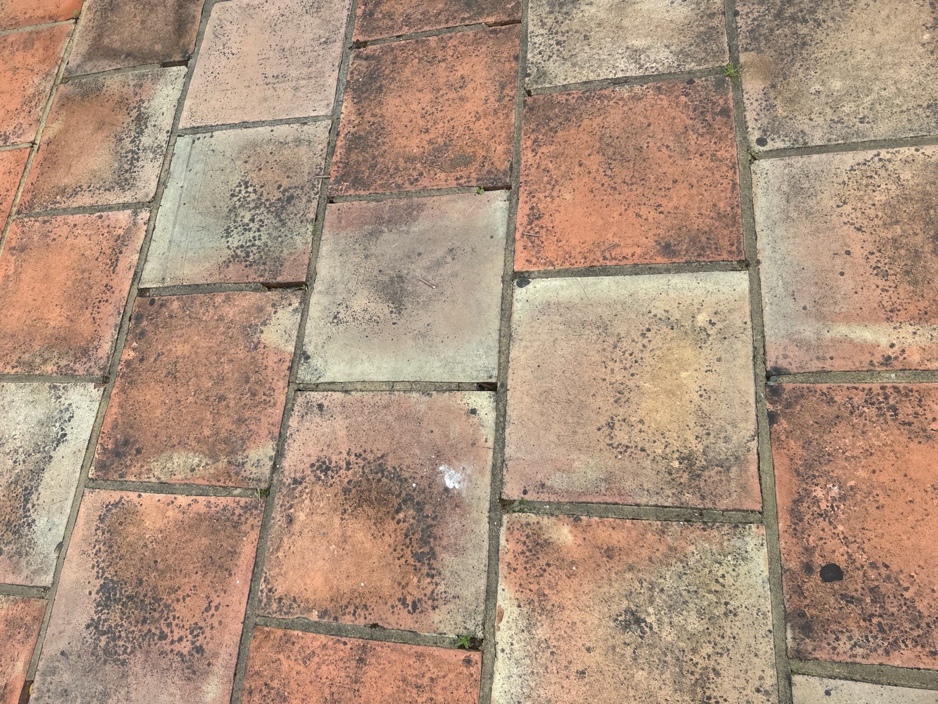 Roof and Patio Cleaning using Honda 15lpm Low Pressure Washing Machine by Ges Exterior Cleaning ltd