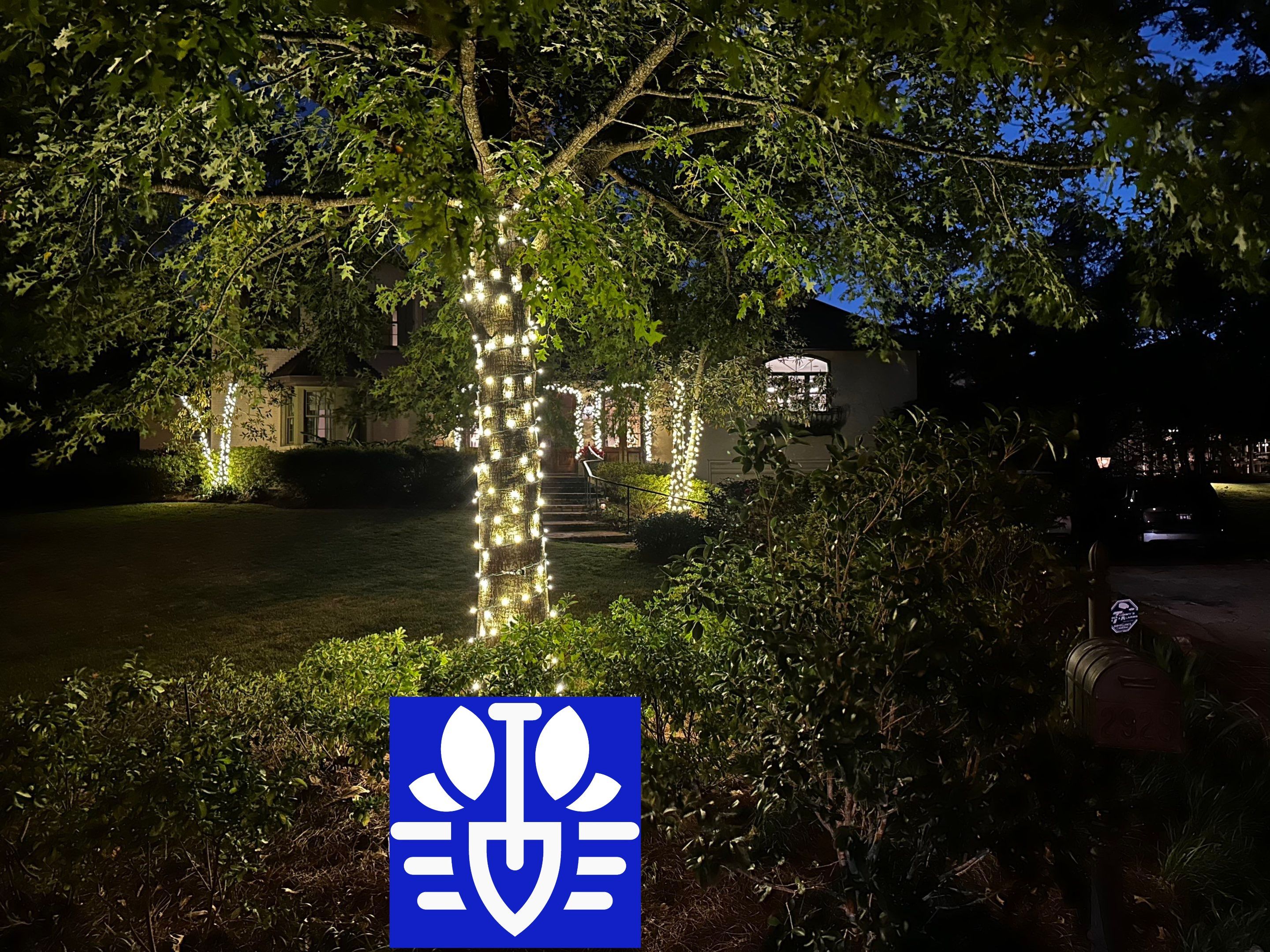 HOLIDAY LIGHTING using PRE LIT GARLAND & 5MM TREE WRAP STRANDS by CutScape, LLC.