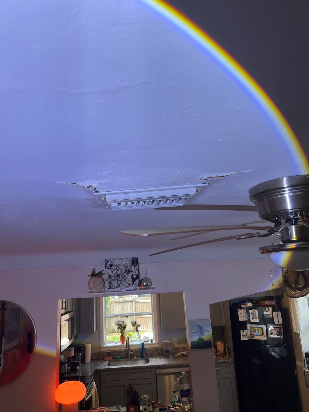 St Petersburg Mold Remediation by Ampm Restoration Services 