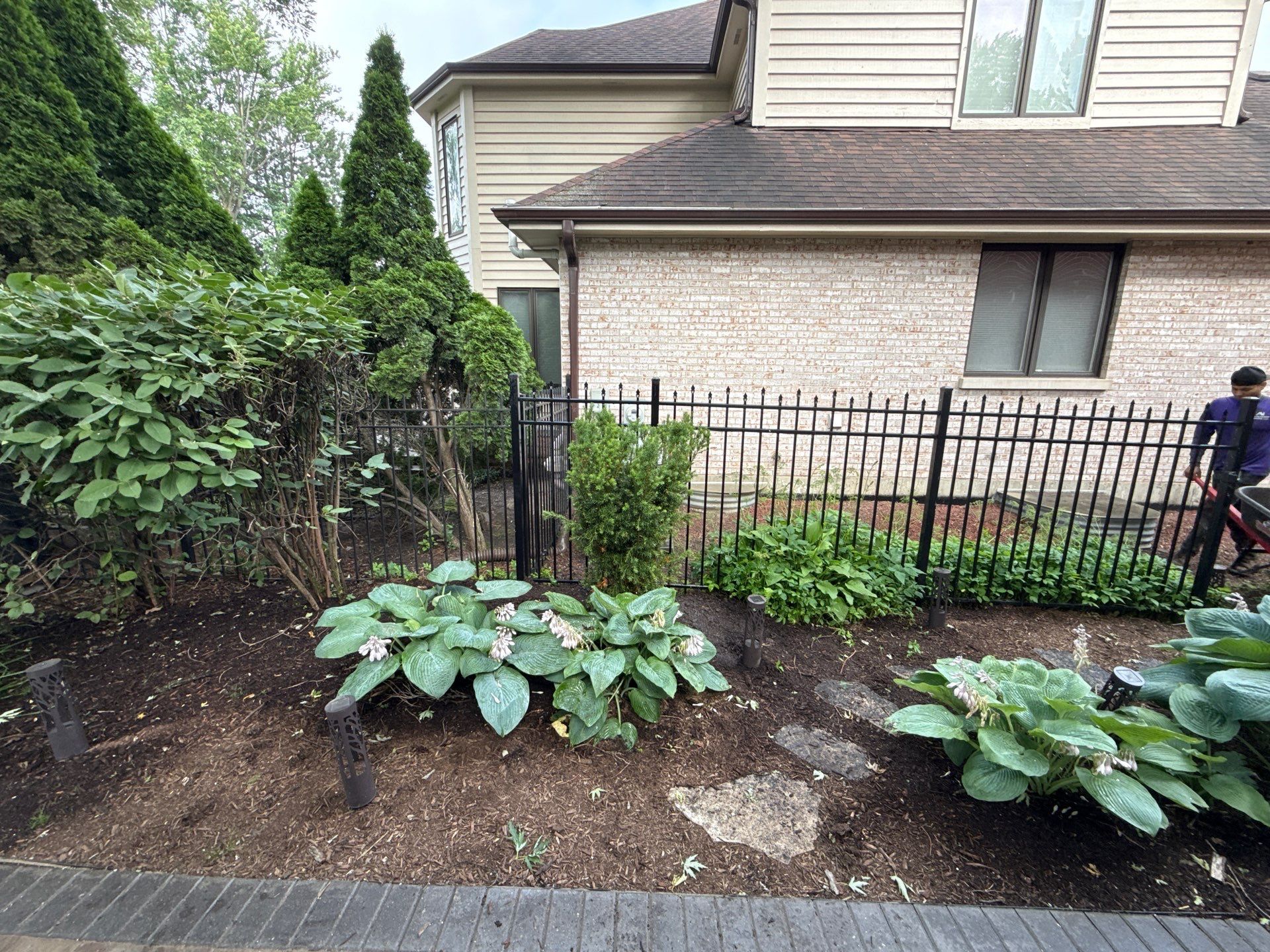 Laura C. - Mount Prospect, IL by A&N 