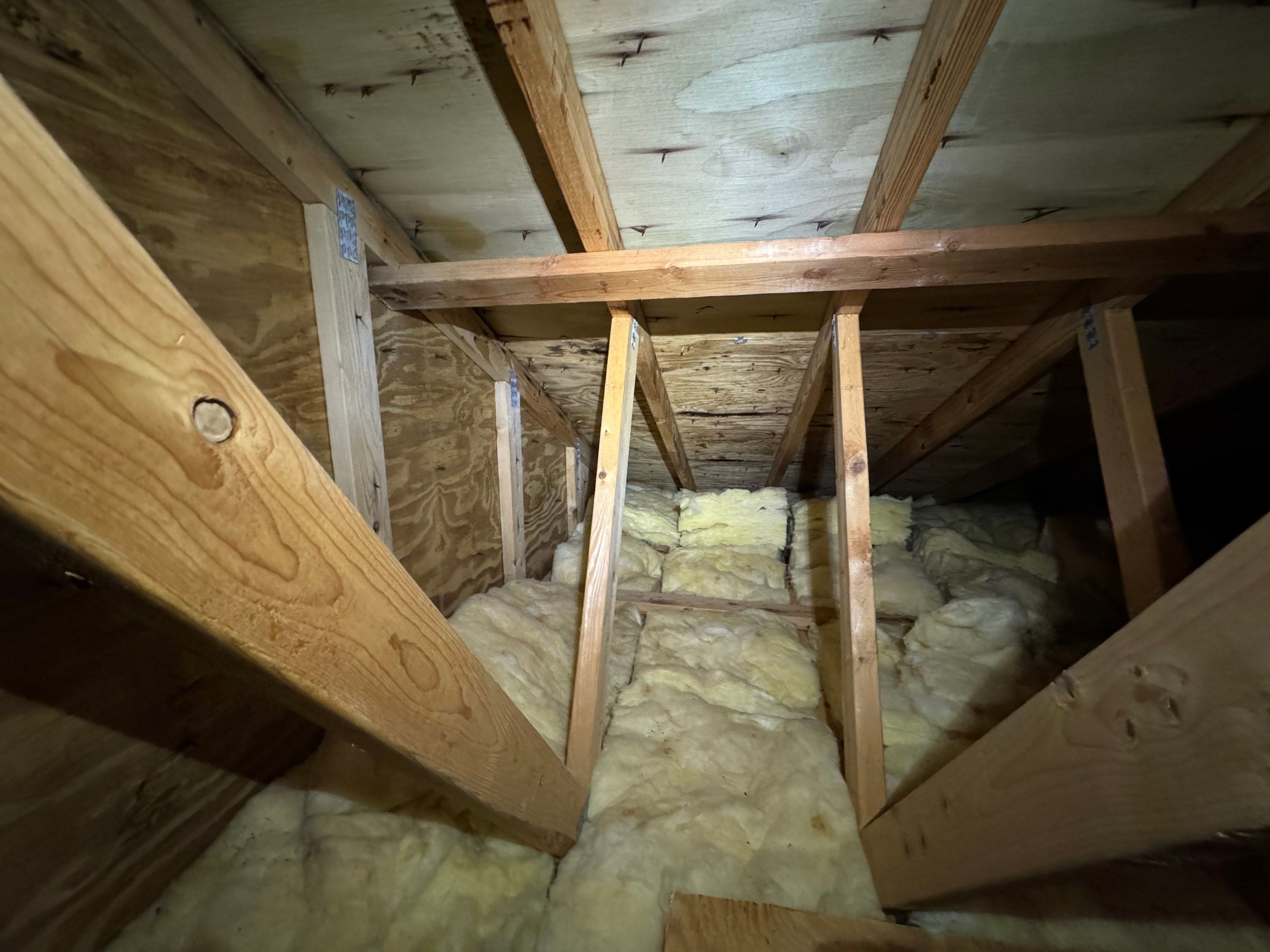 Attic & Sunroom Mold Remediation by Home Guarantee, LLC