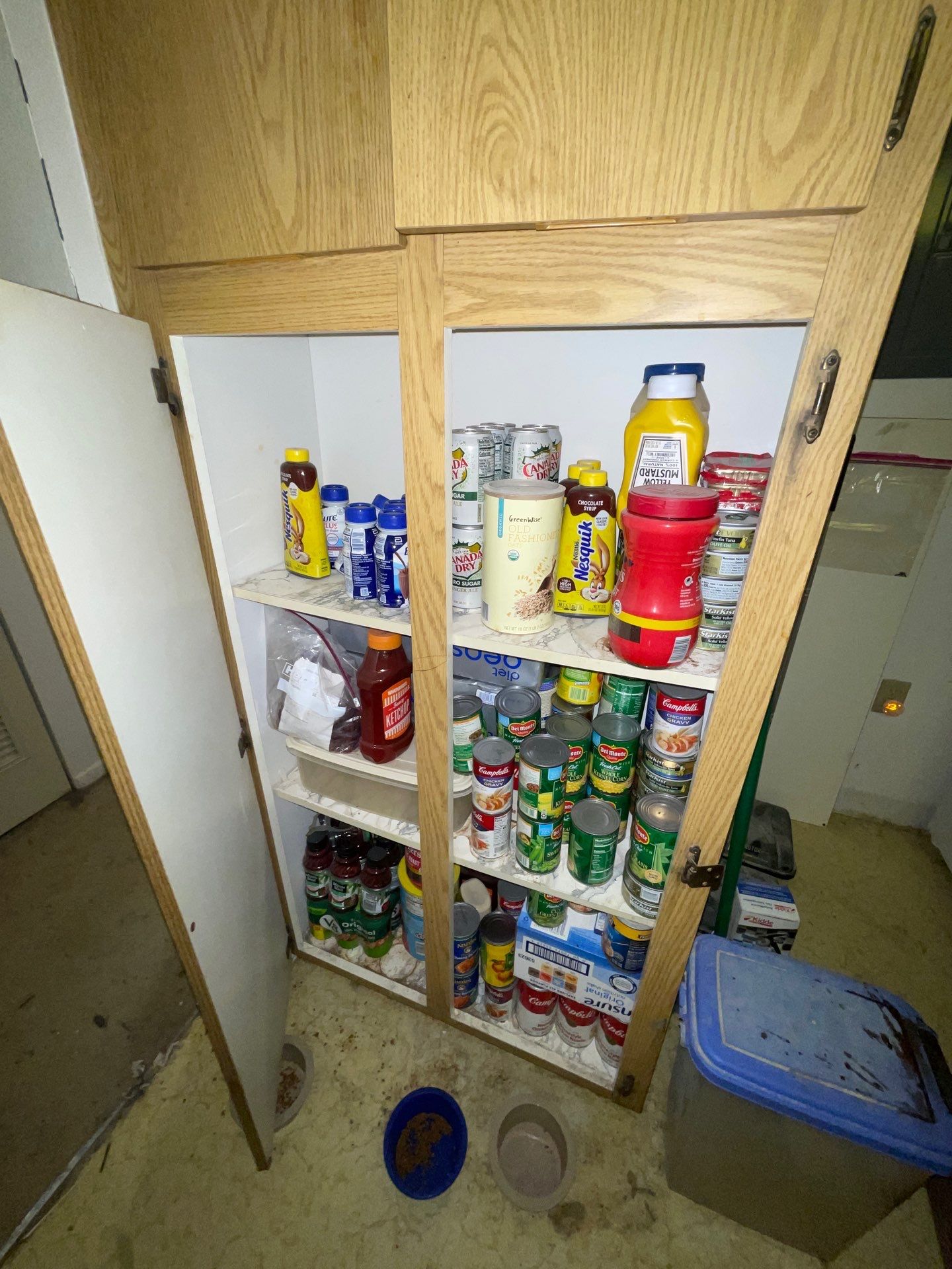 Horder house with Mold and Bacterial Contamination Issues  by Bay Coast Restoration 