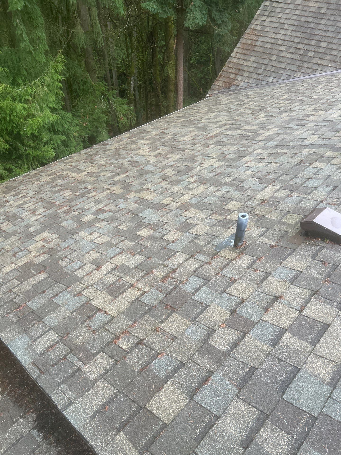 Project in Bothell by Connolly Construction Company